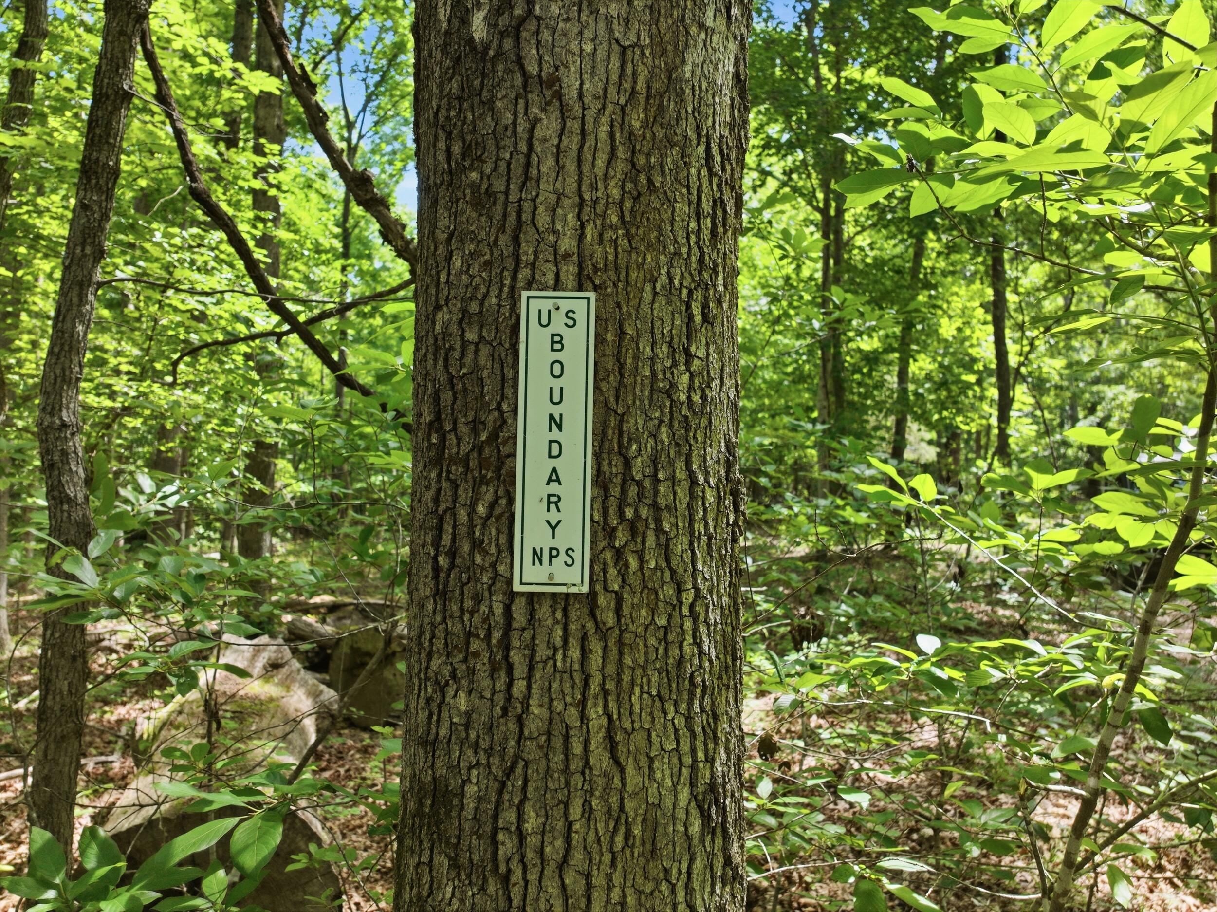 Photo 21 - Land for sale – 000  Barn Hollow Drive   Mountain View, MO