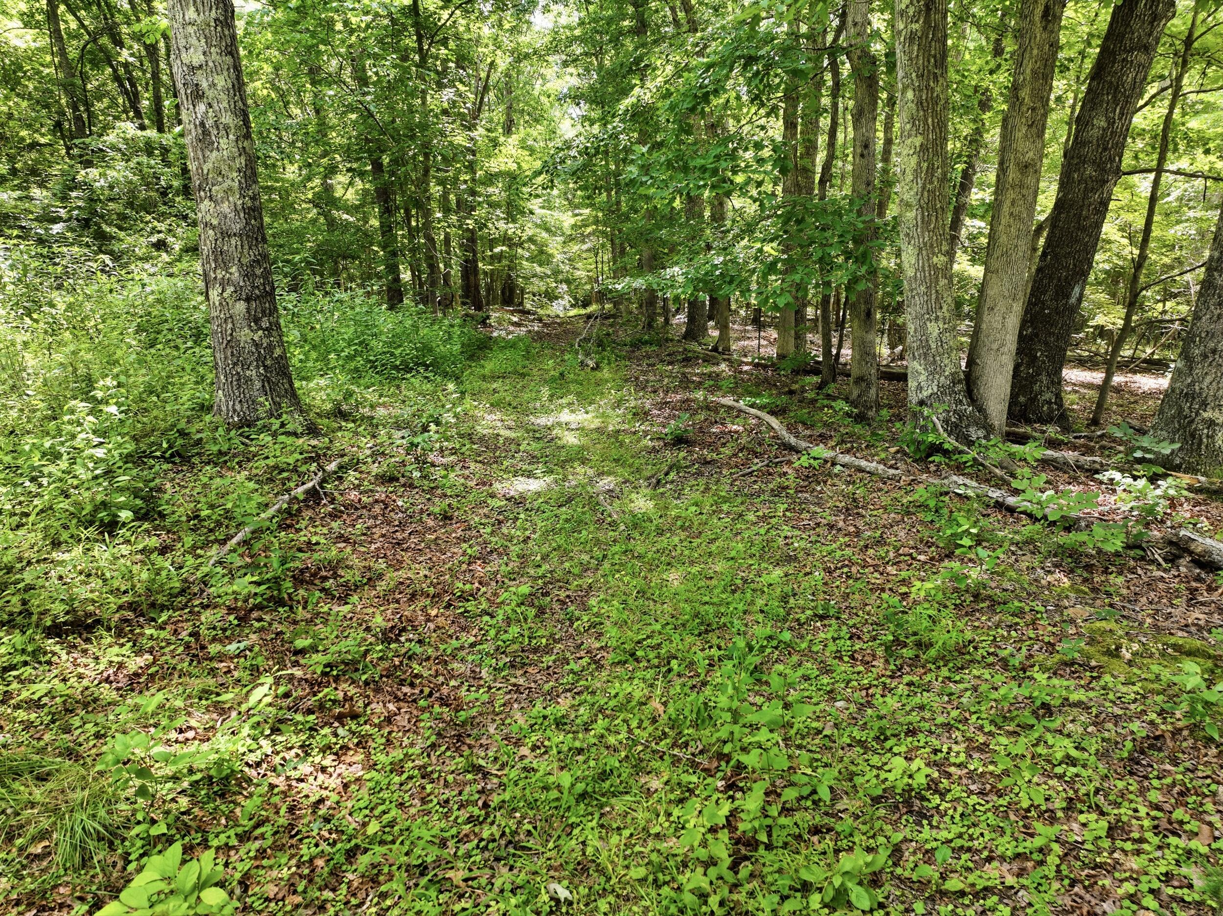 Photo 14 - Land for sale – 000  Barn Hollow Drive   Mountain View, MO
