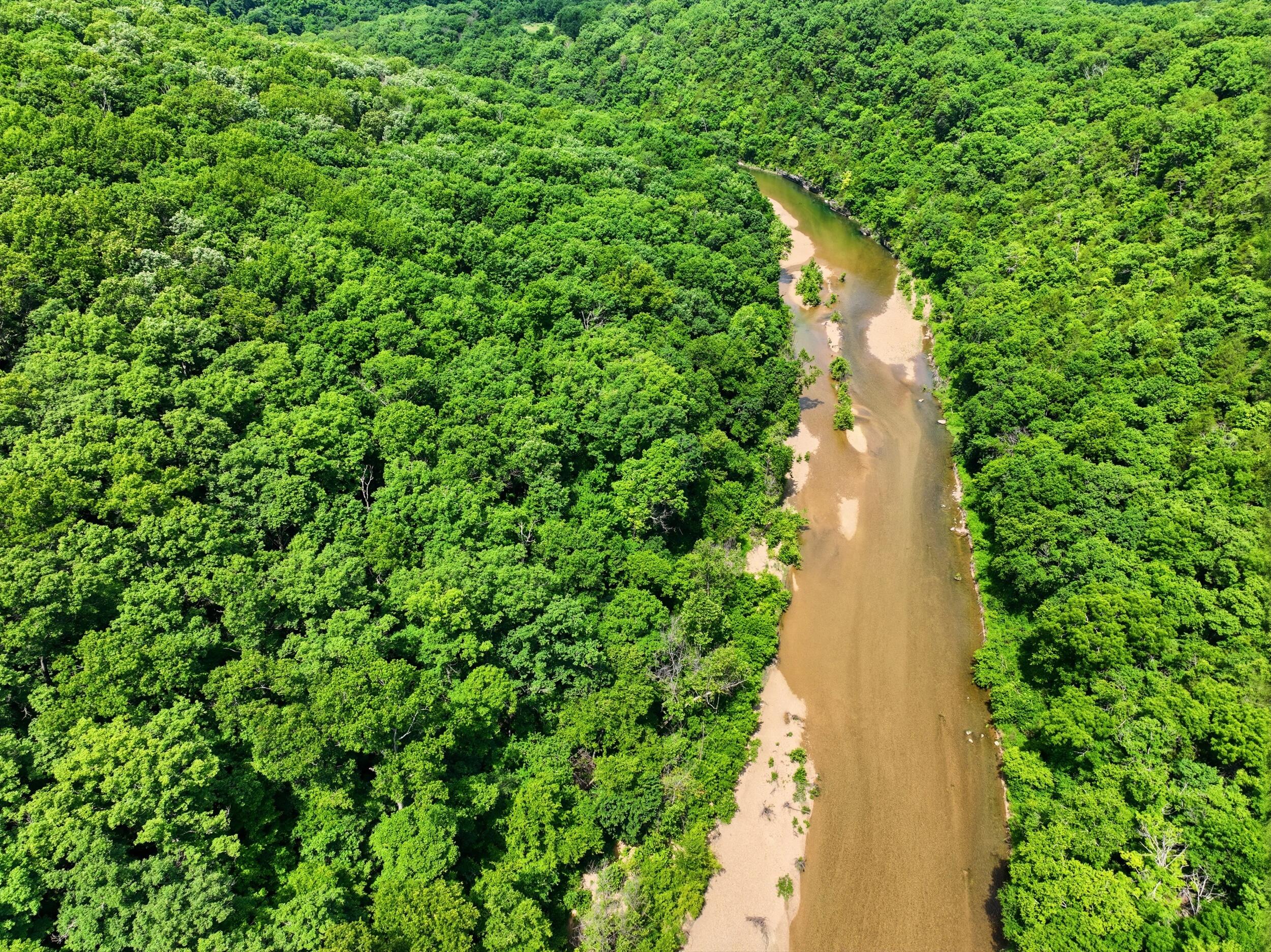 Photo 8 - Land for sale – 000  Barn Hollow Drive   Mountain View, MO