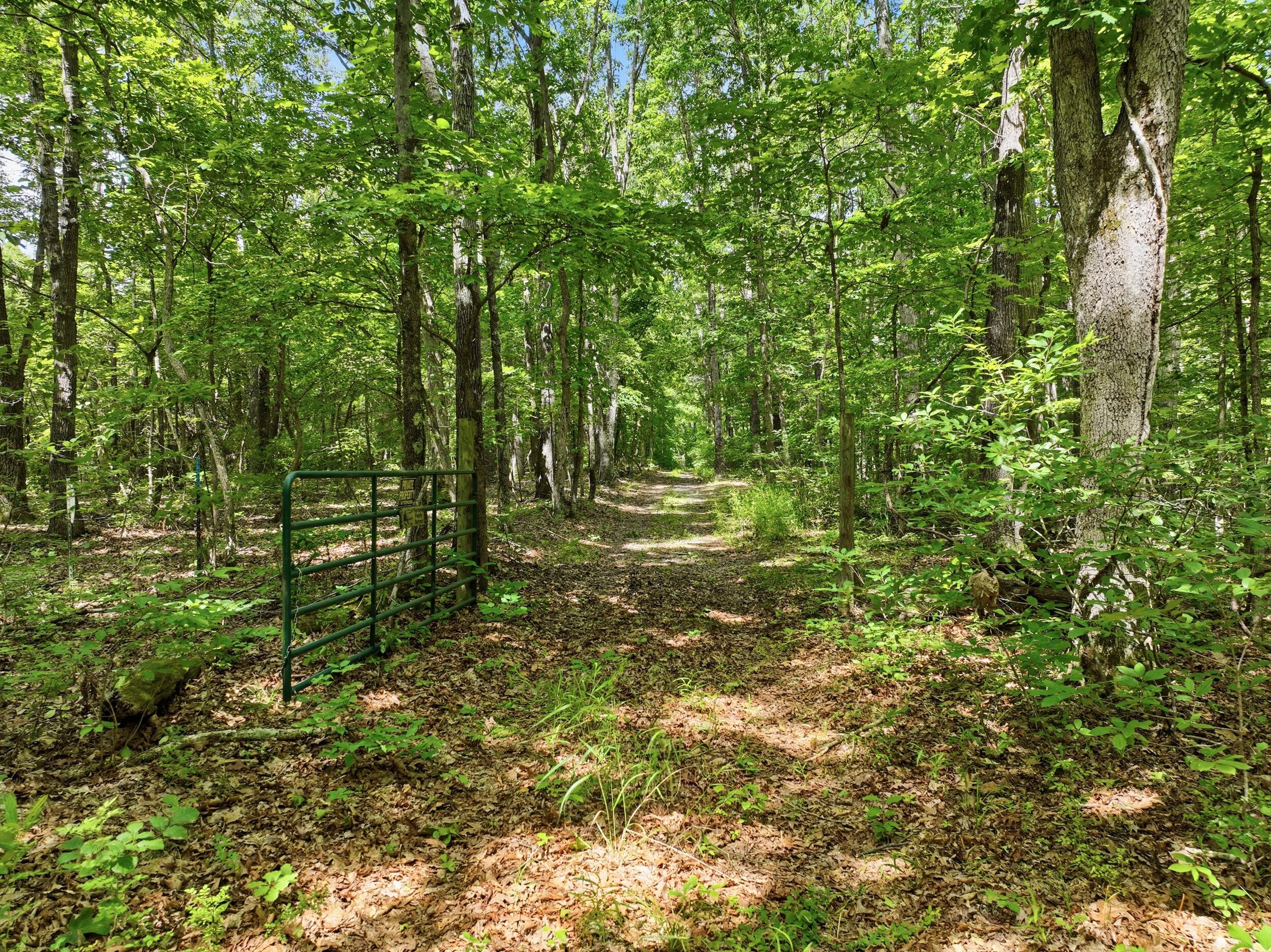 Photo 20 - Land for sale – 000  Barn Hollow Drive   Mountain View, MO