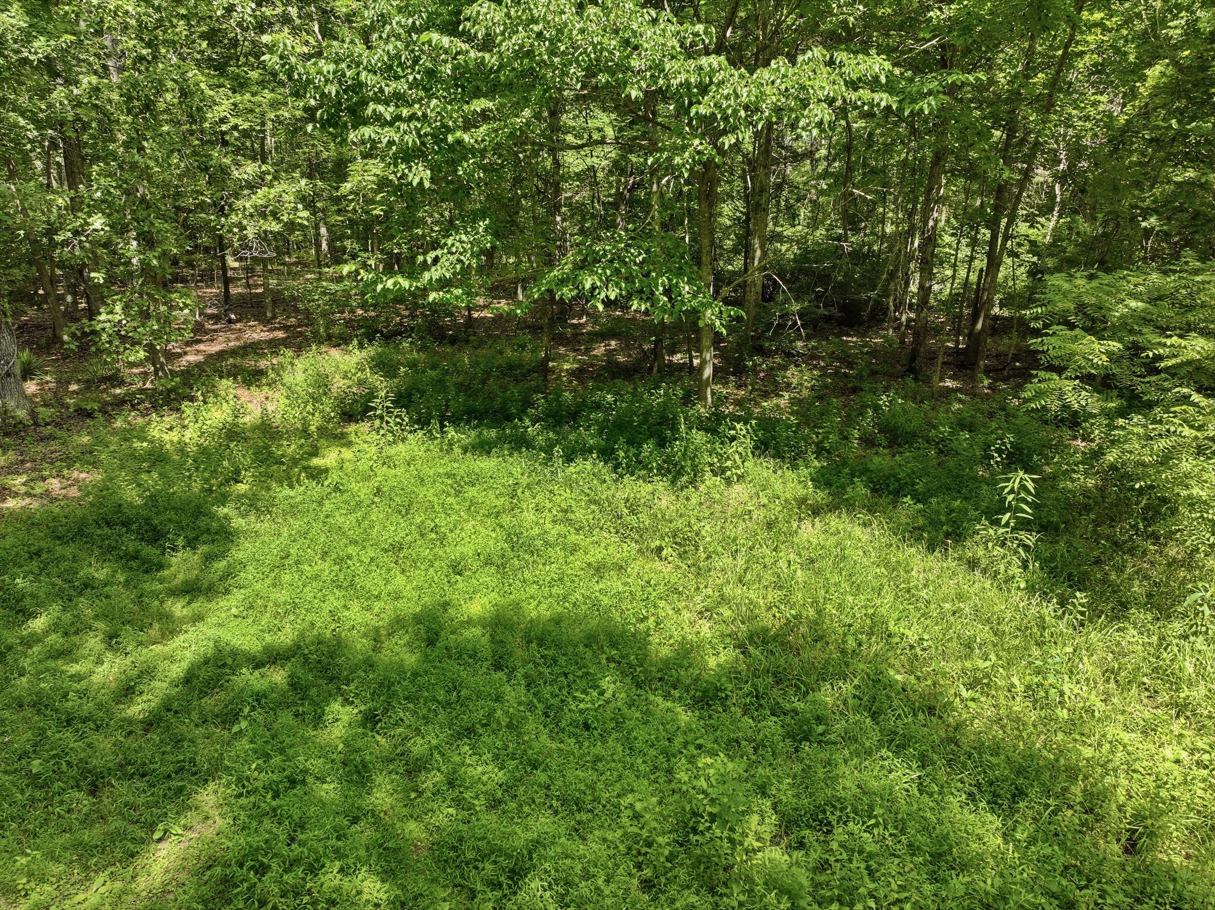 Photo 3 - Land for sale – 000  Barn Hollow Drive   Mountain View, MO