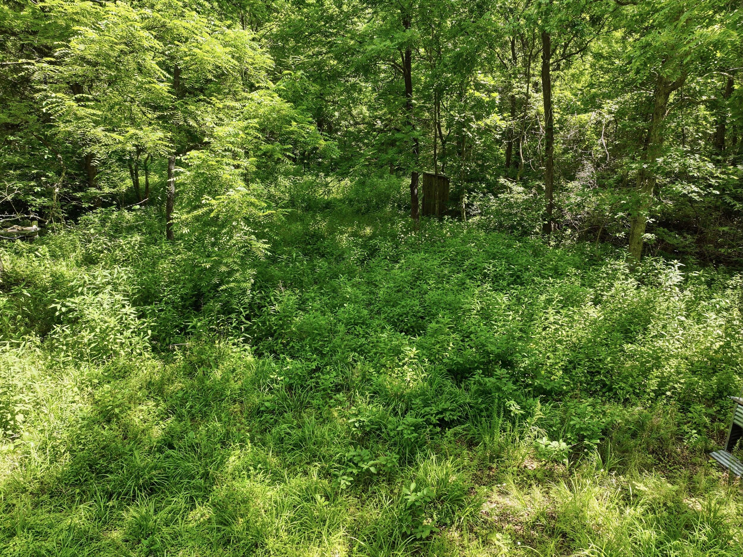 Photo 2 - Land for sale – 000  Barn Hollow Drive   Mountain View, MO