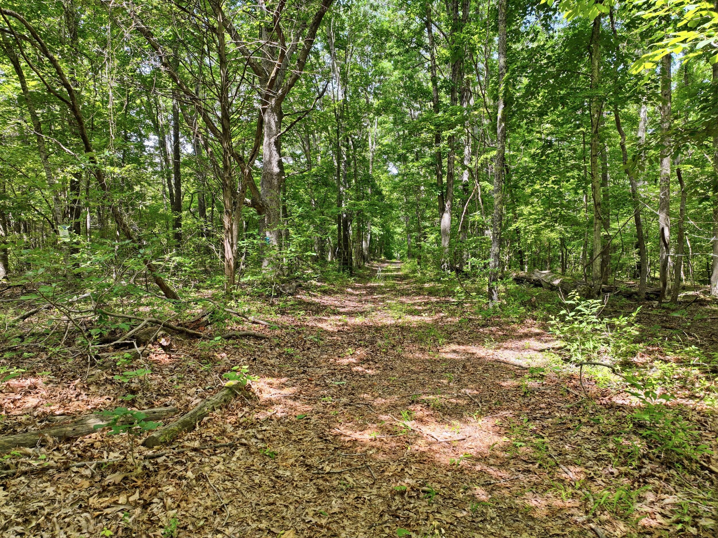 Photo 19 - Land for sale – 000  Barn Hollow Drive   Mountain View, MO