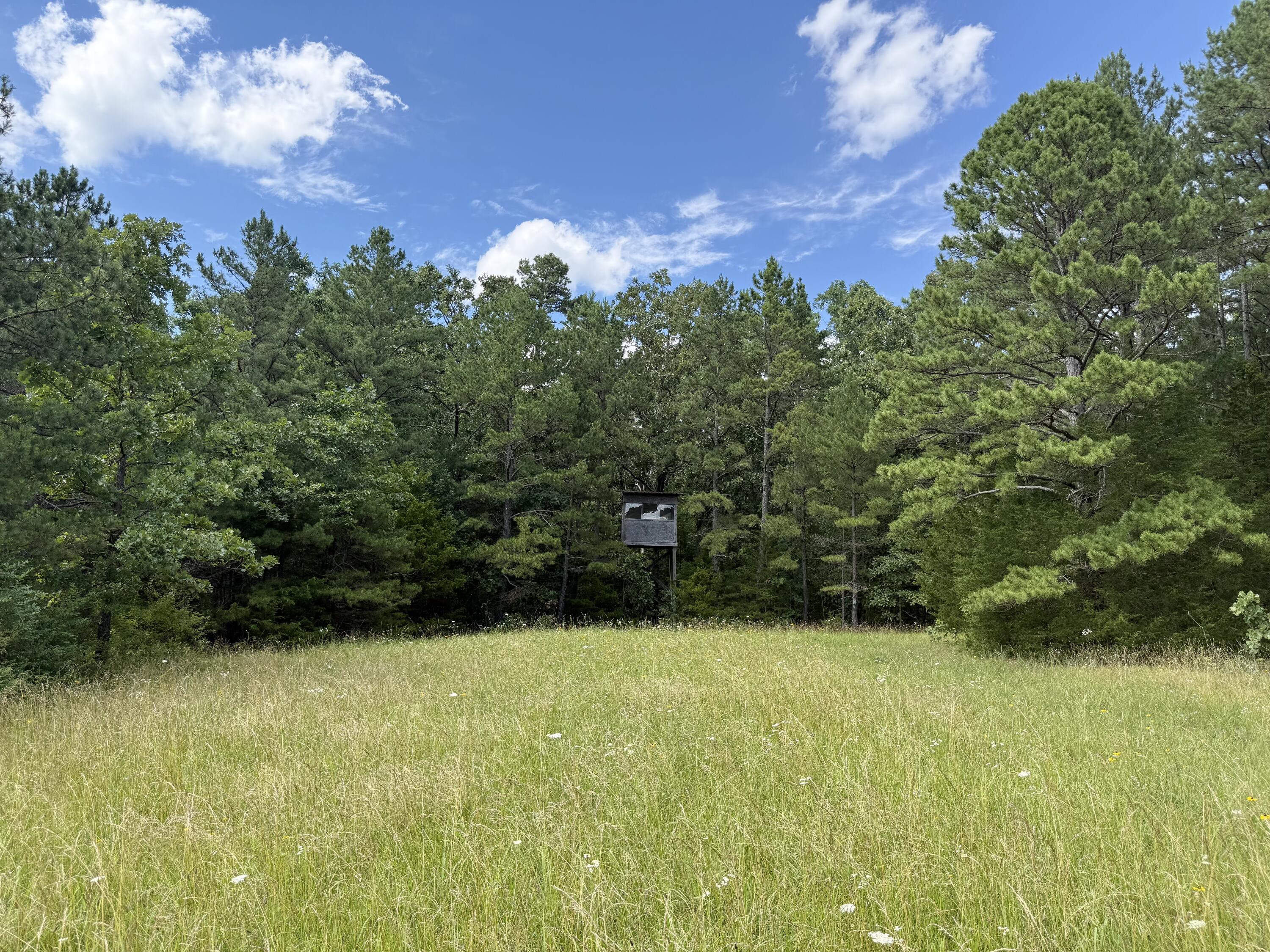 Photo 62 - Farm for sale – 9452  Lynch Drive  Bucyrus, MO