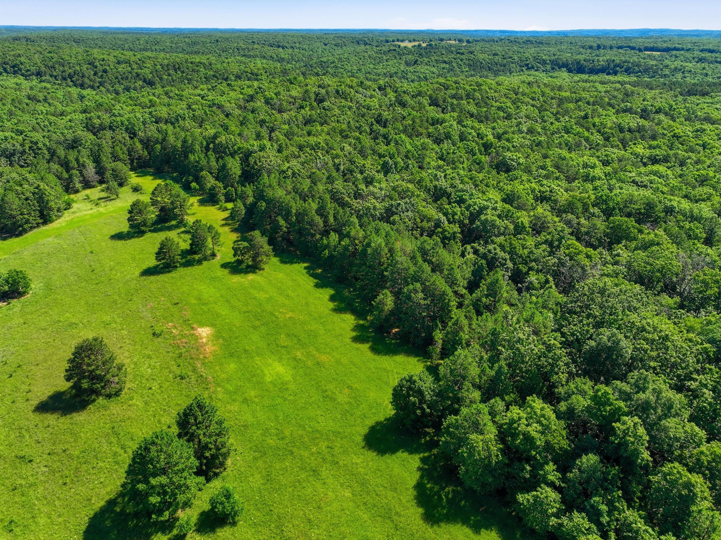 Photo 7 - Farm for sale – 9452  Lynch Drive  Bucyrus, MO