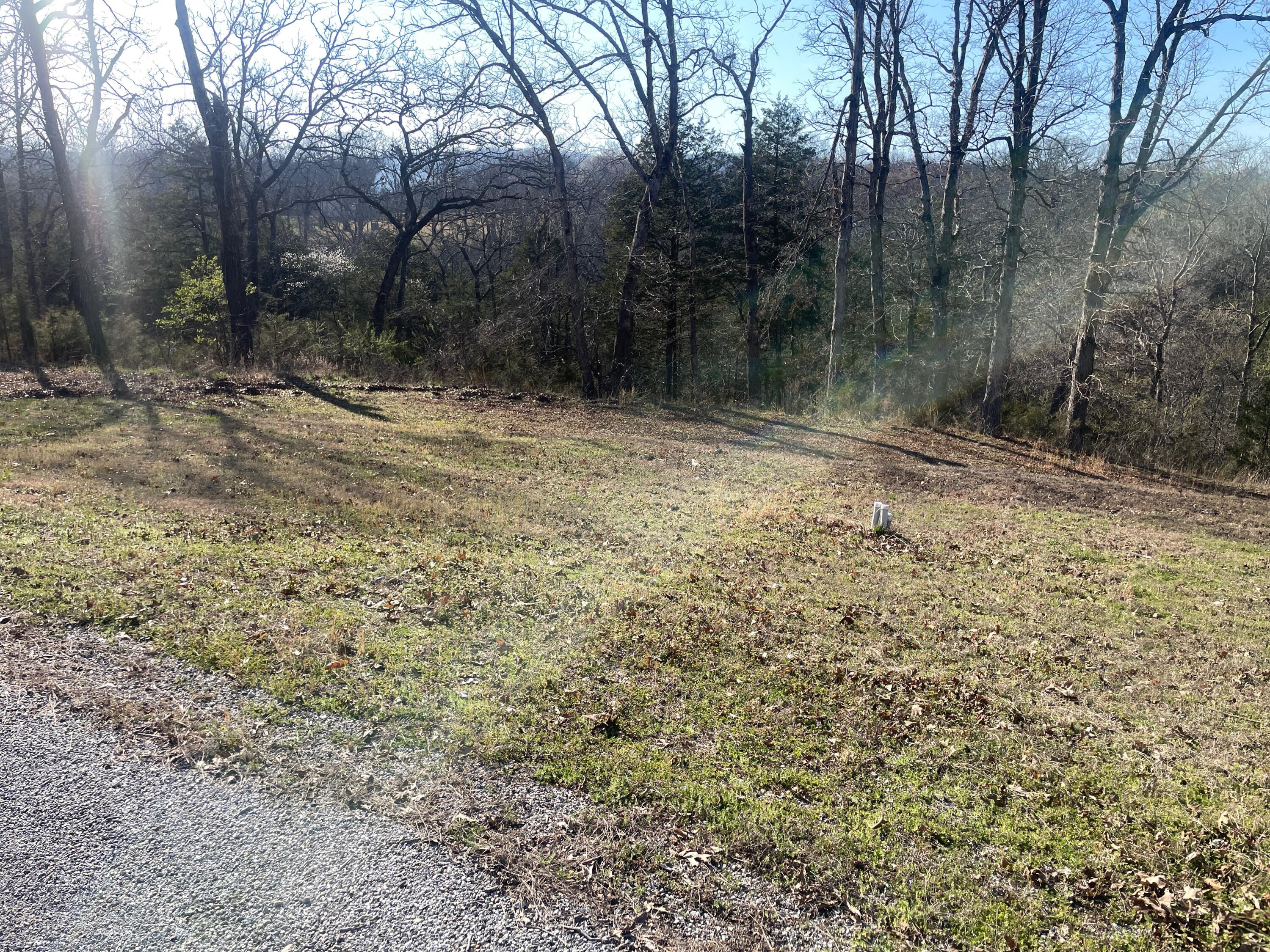 Photo 8 - Land for sale – Lot 7 & 8  Mill Creek Landing   Shell Knob, MO