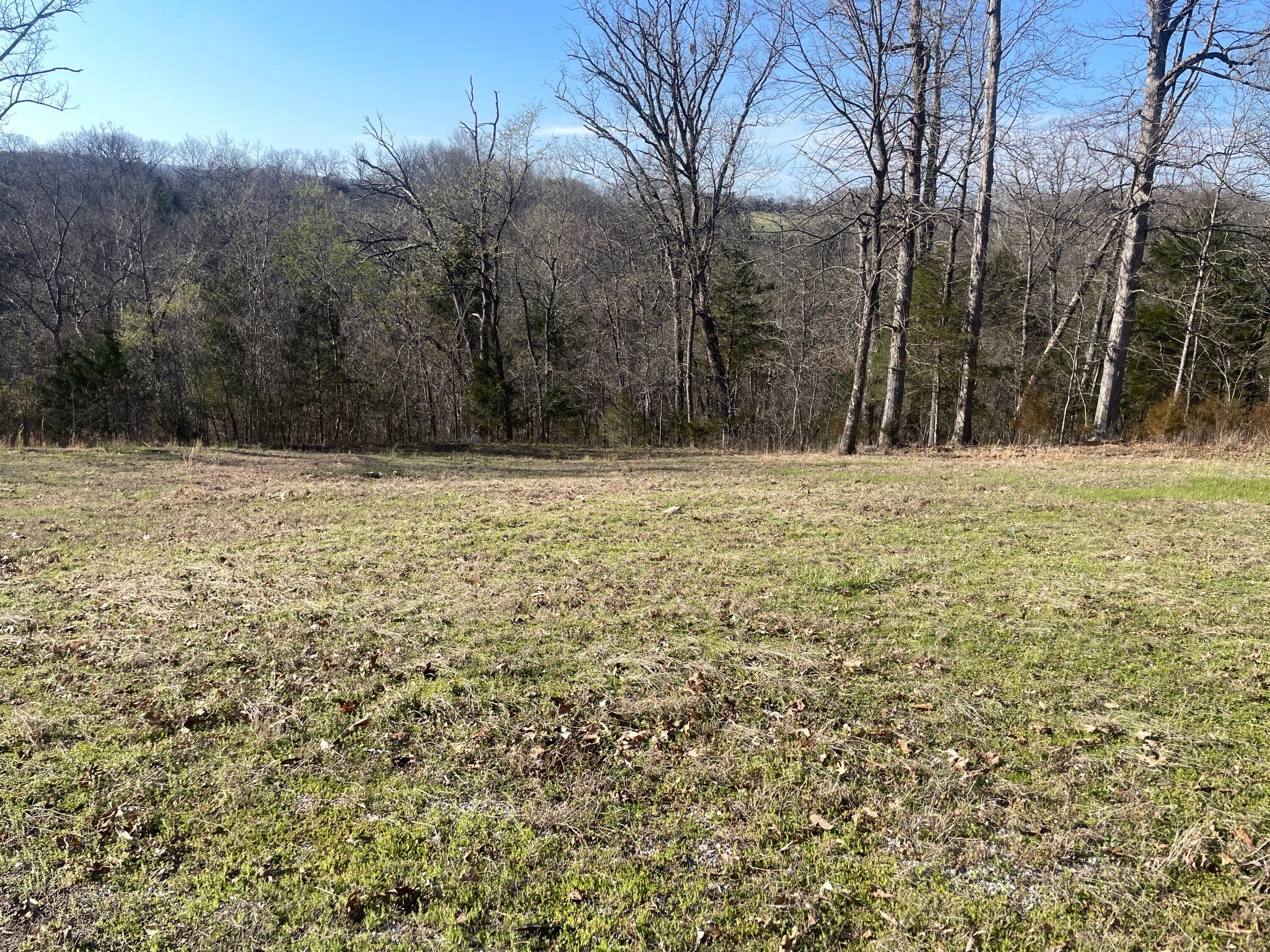 Photo 9 - Land for sale – Lot 7 & 8  Mill Creek Landing   Shell Knob, MO