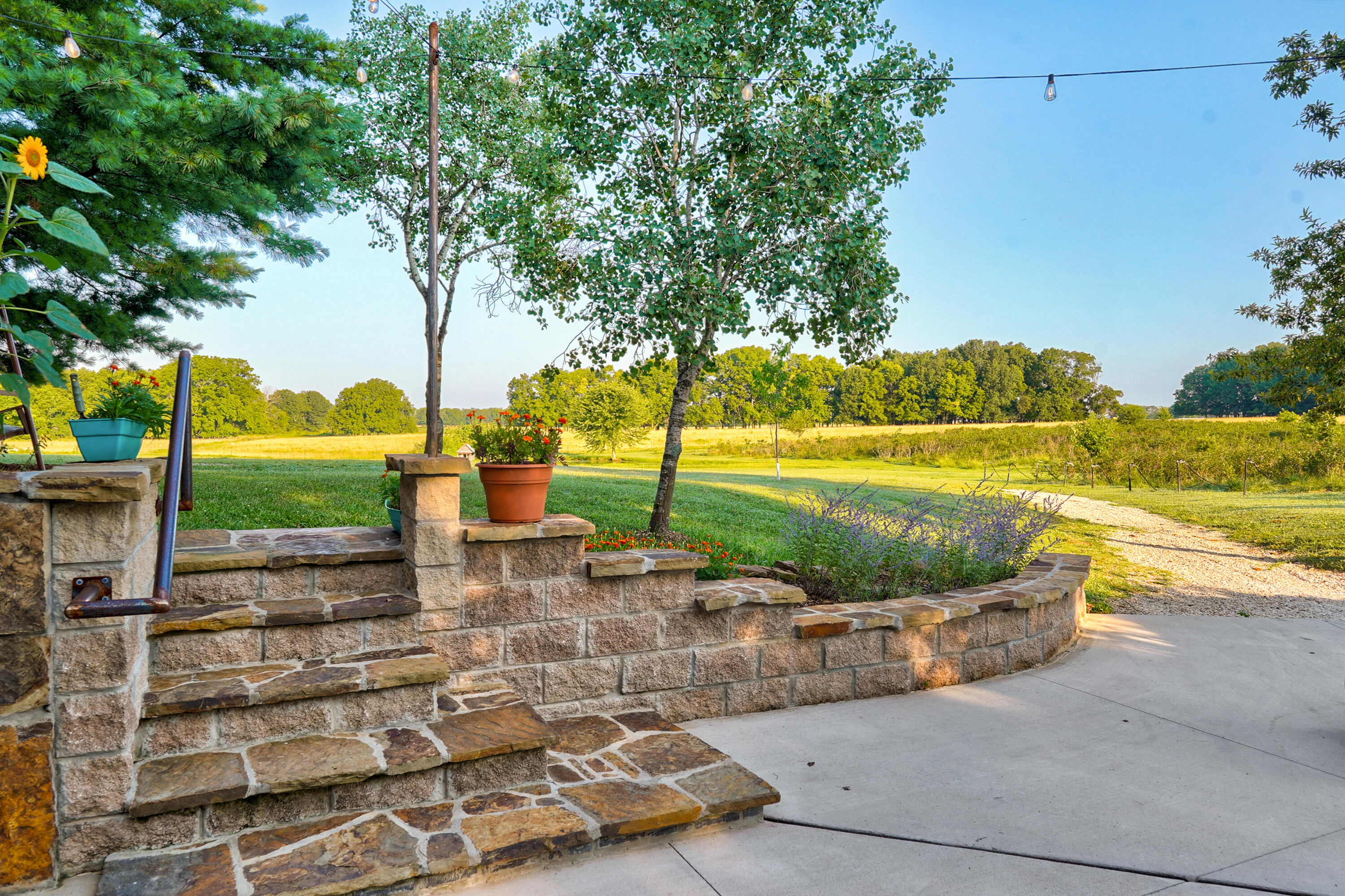 Photo 98 - Residential for sale – 5313 S Farm Road 241   Rogersville, MO