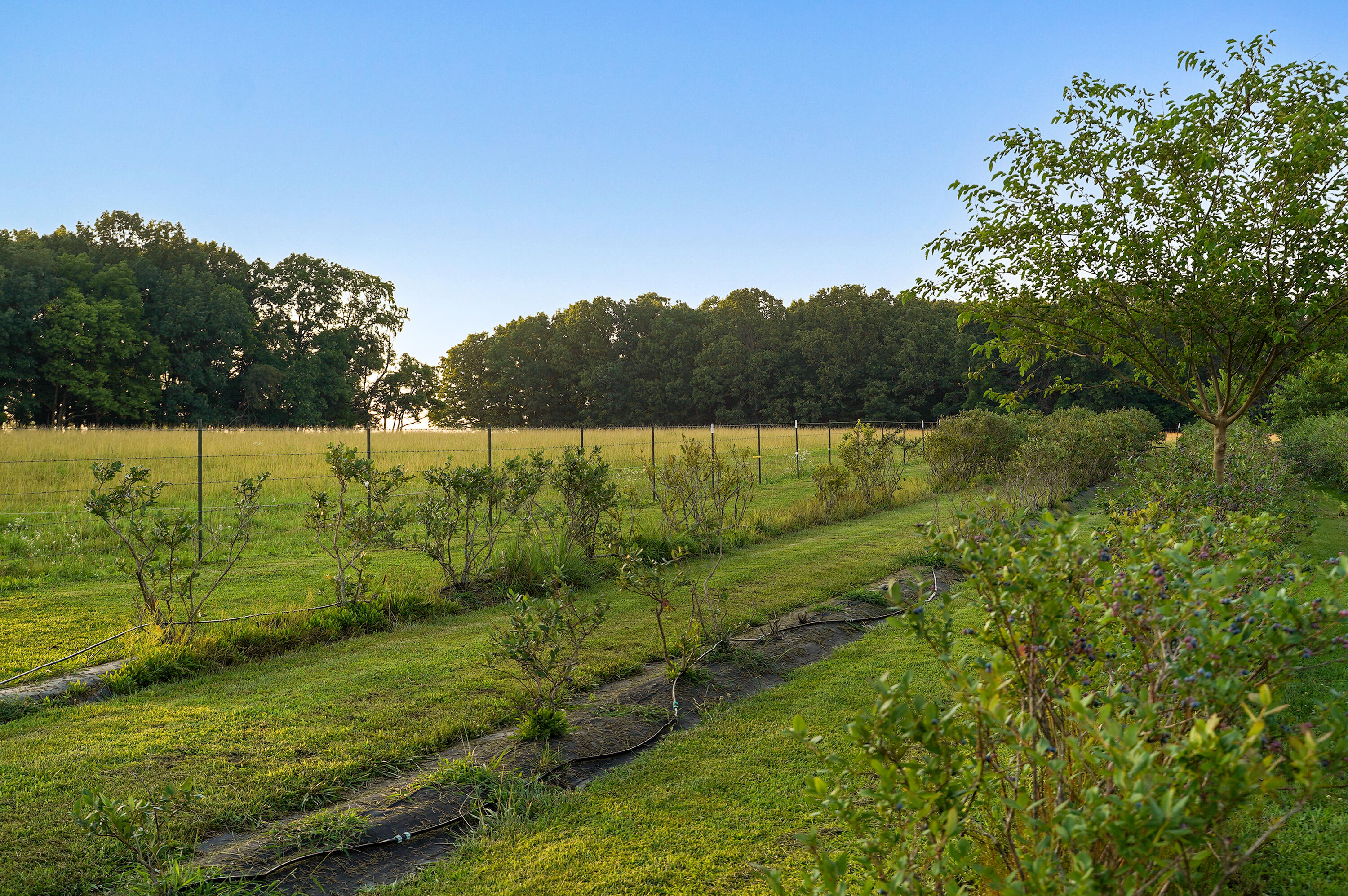 Photo 118 - Residential for sale – 5313 S Farm Road 241   Rogersville, MO