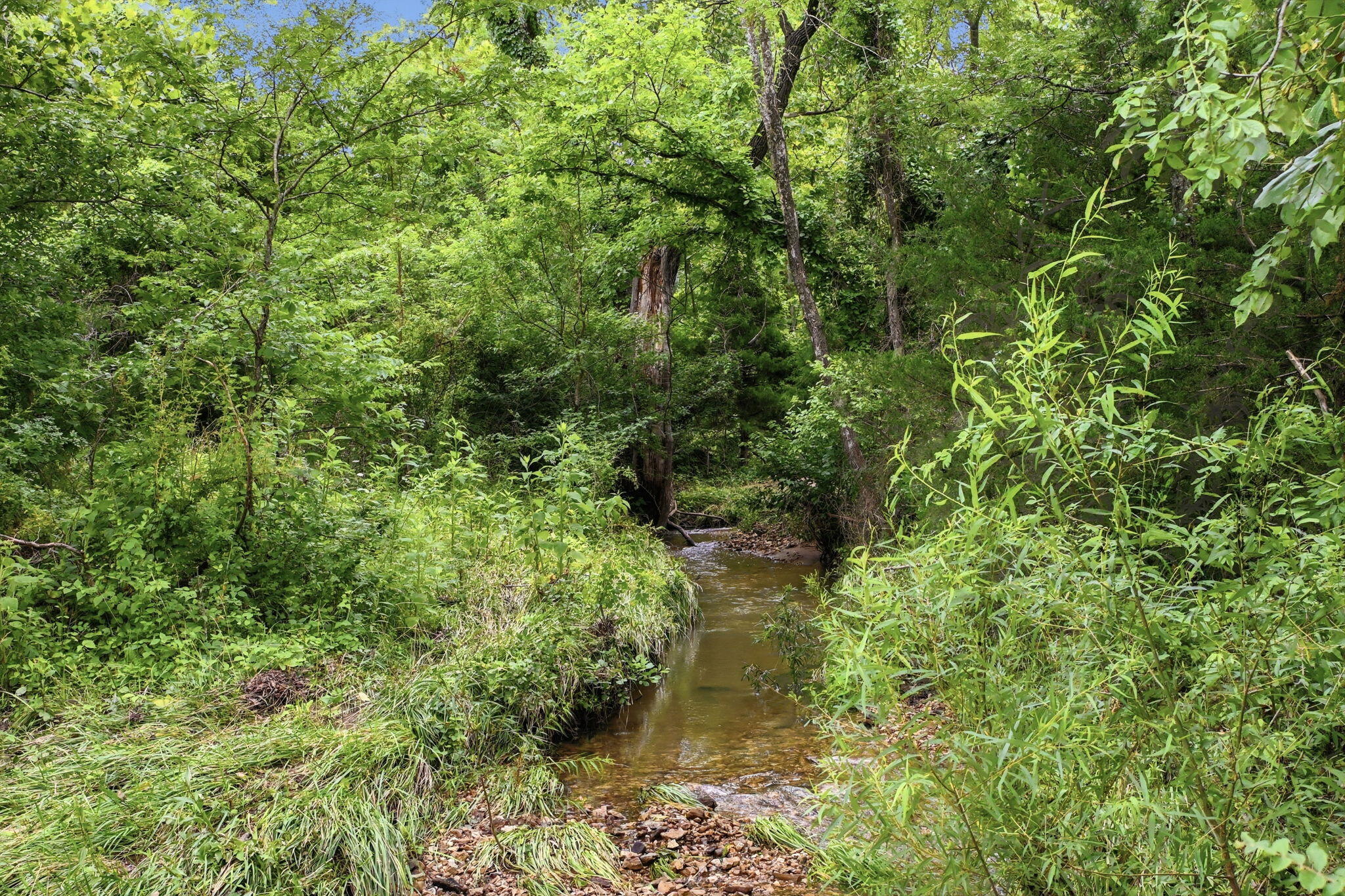 Photo 11 - Land for sale – 17445 E 418 Road  Stockton, MO