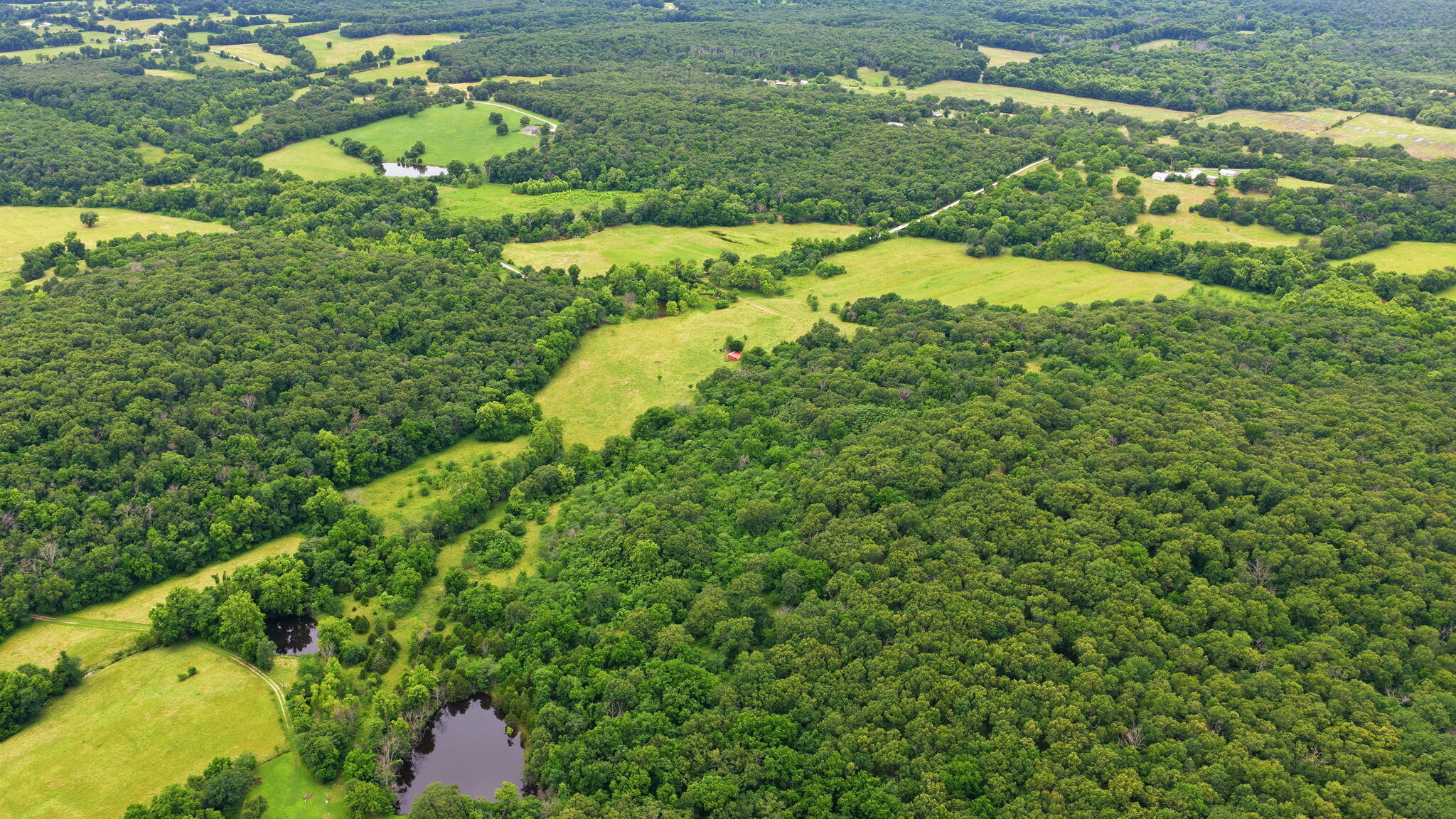 Photo 25 - Land for sale – 17445 E 418 Road  Stockton, MO