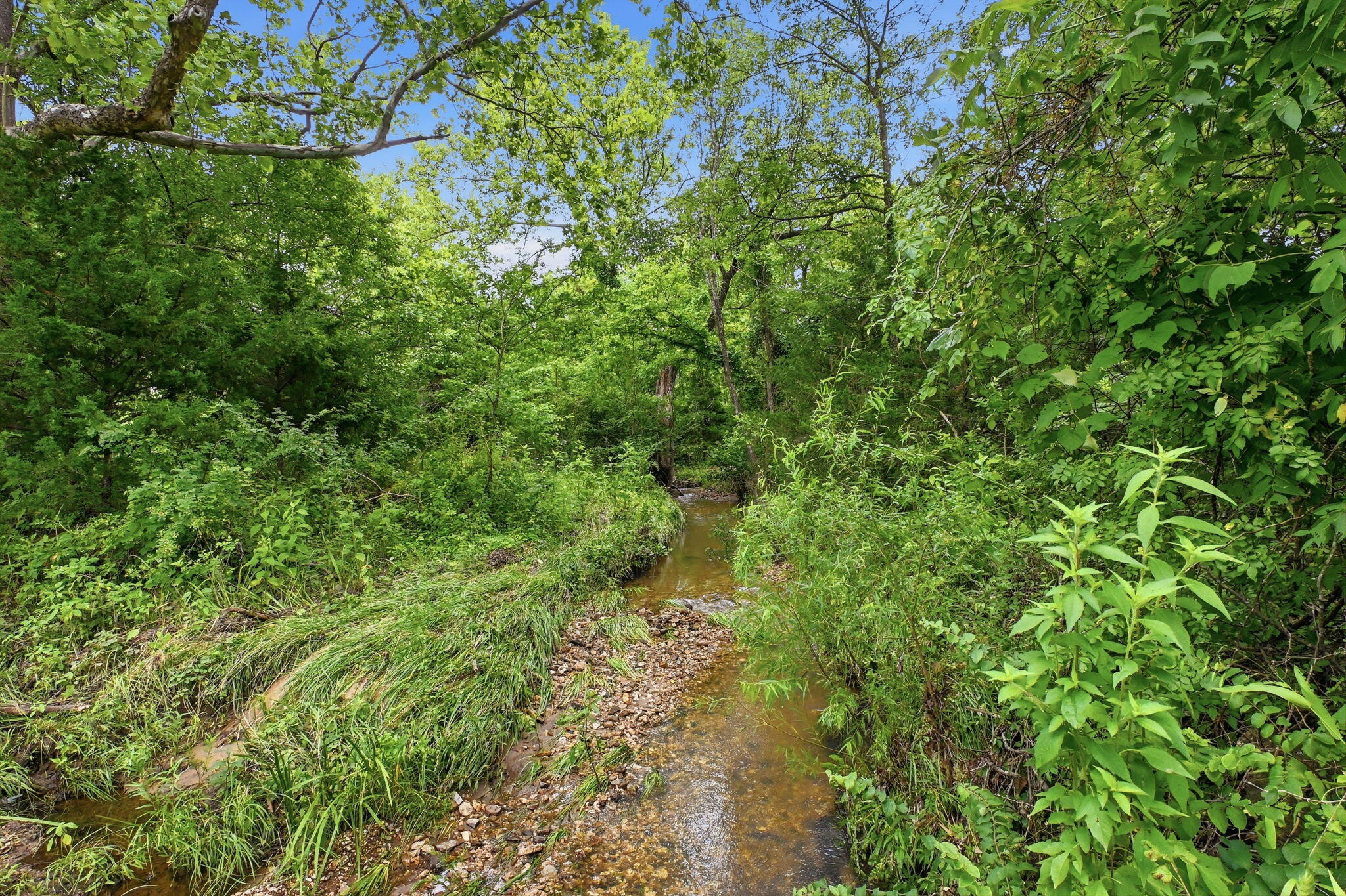 Photo 21 - Land for sale – 17445 E 418 Road  Stockton, MO