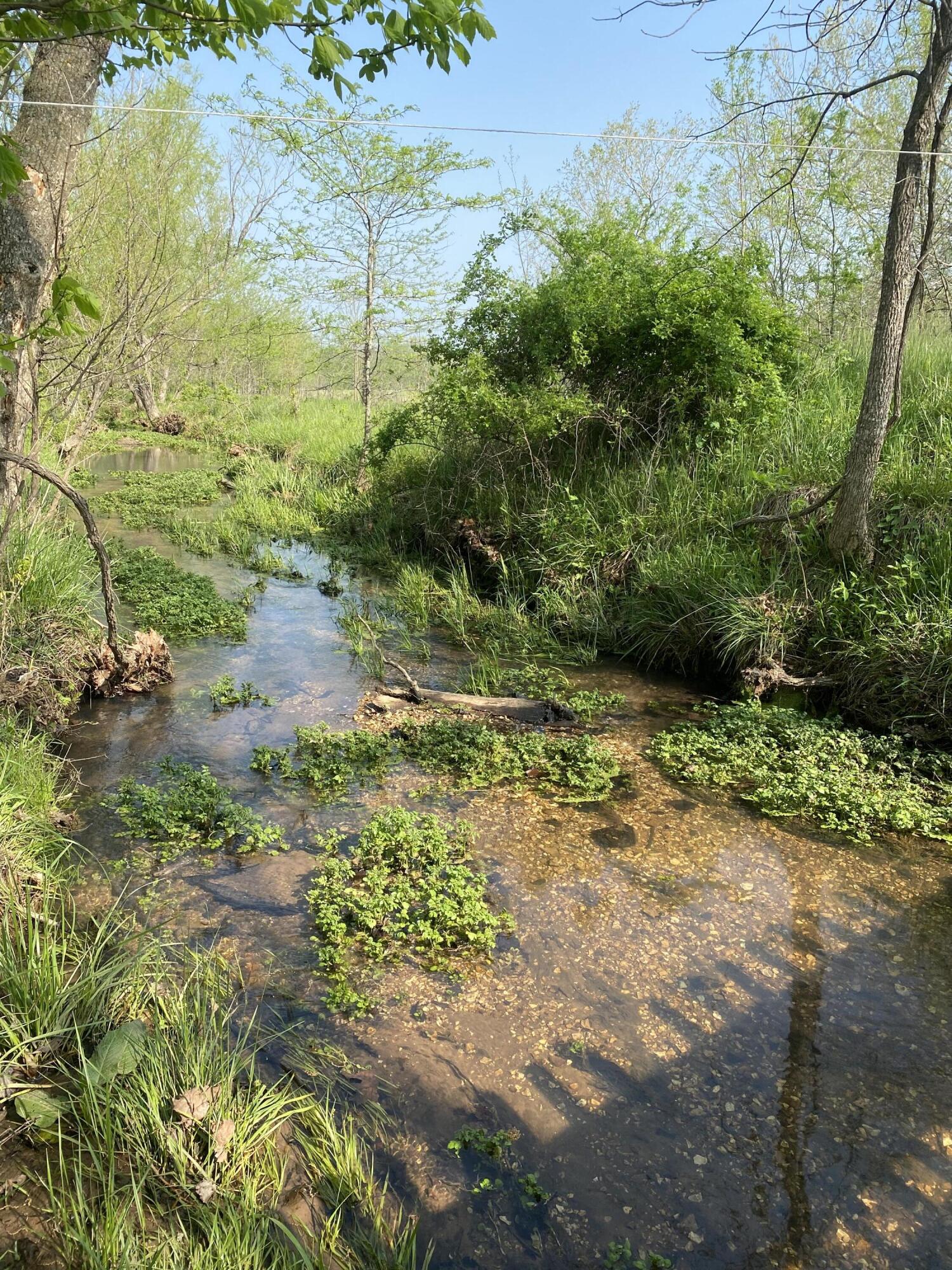 Photo 10 - Land for sale – 17445 E 418 Road  Stockton, MO