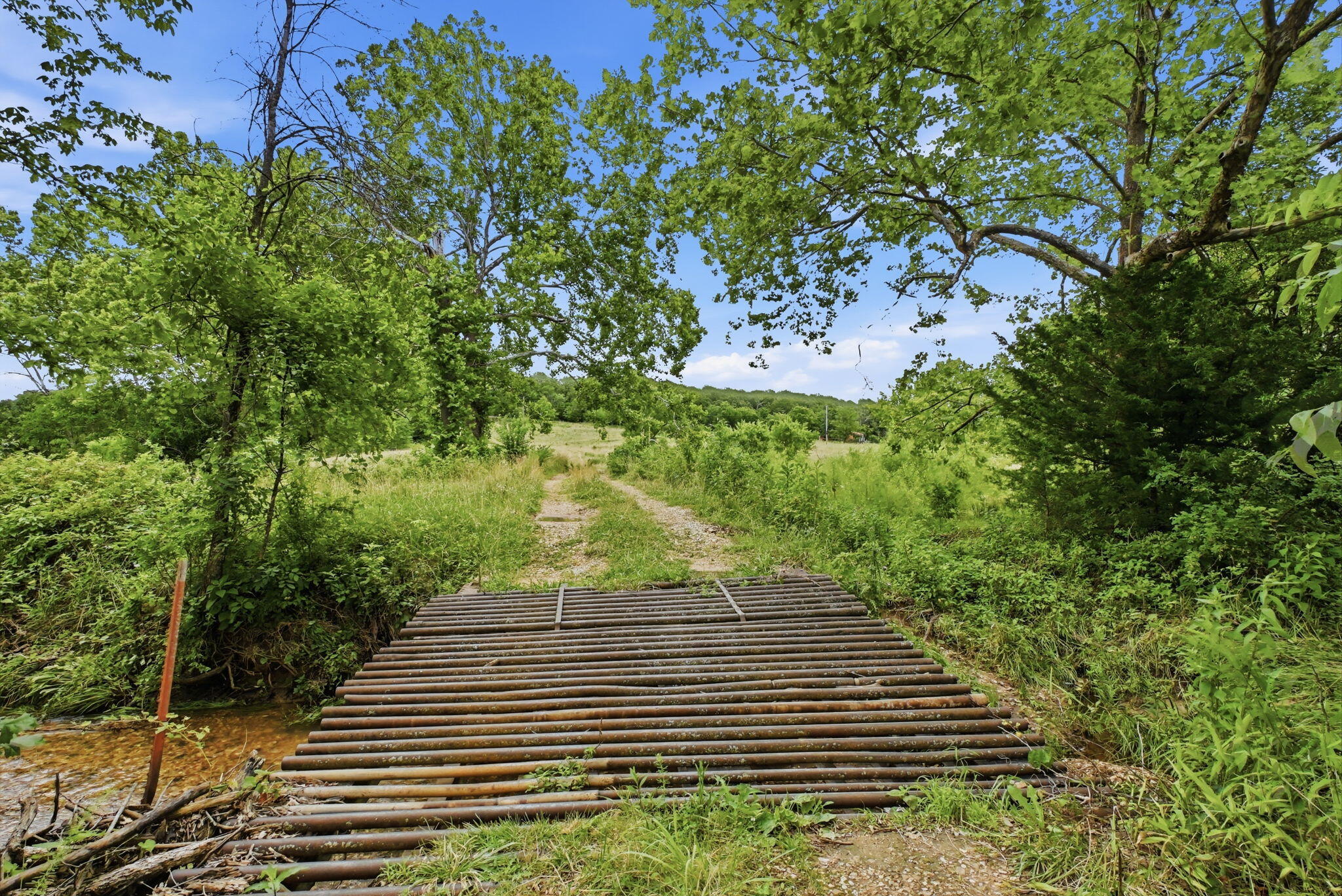 Photo 5 - Land for sale – 17445 E 418 Road  Stockton, MO