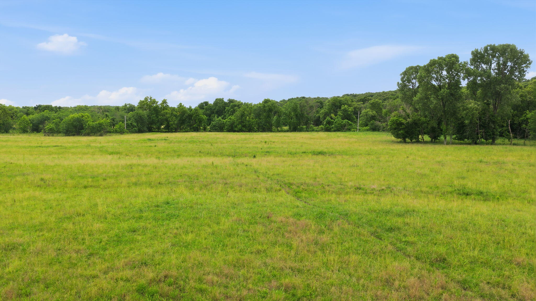 Photo 19 - Land for sale – 17445 E 418 Road  Stockton, MO