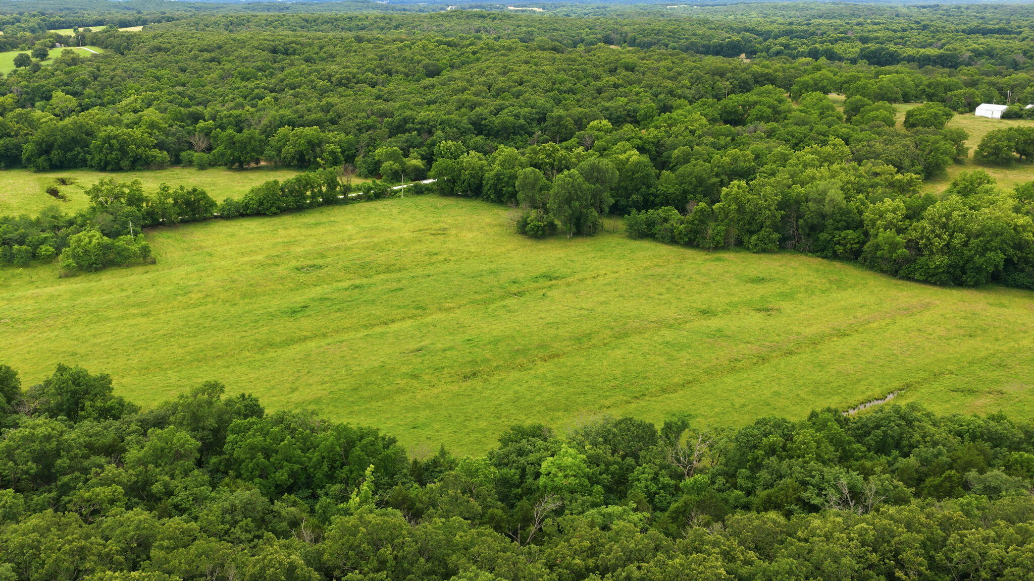 Photo 3 - Land for sale – 17445 E 418 Road  Stockton, MO