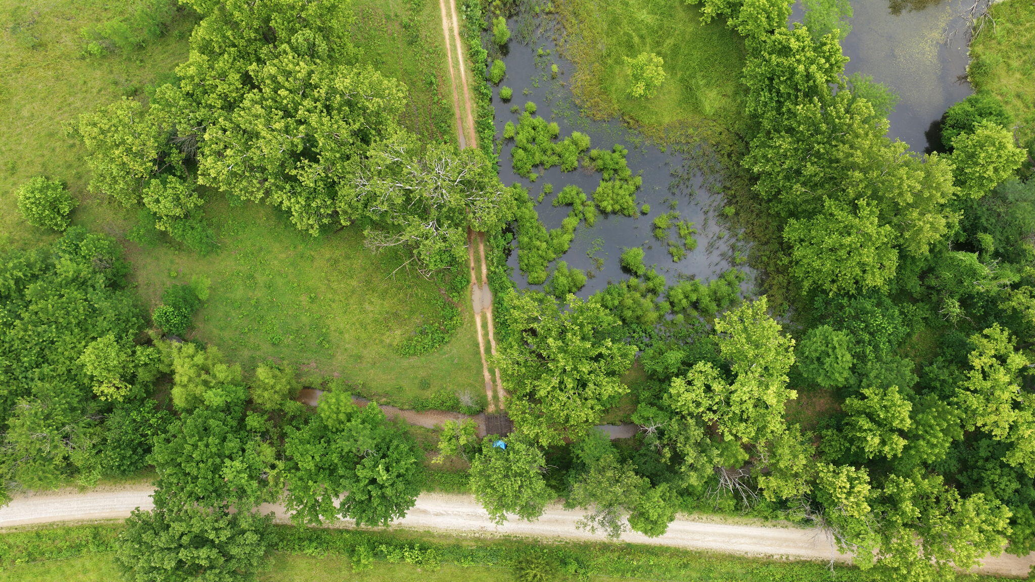 Photo 14 - Land for sale – 17445 E 418 Road  Stockton, MO