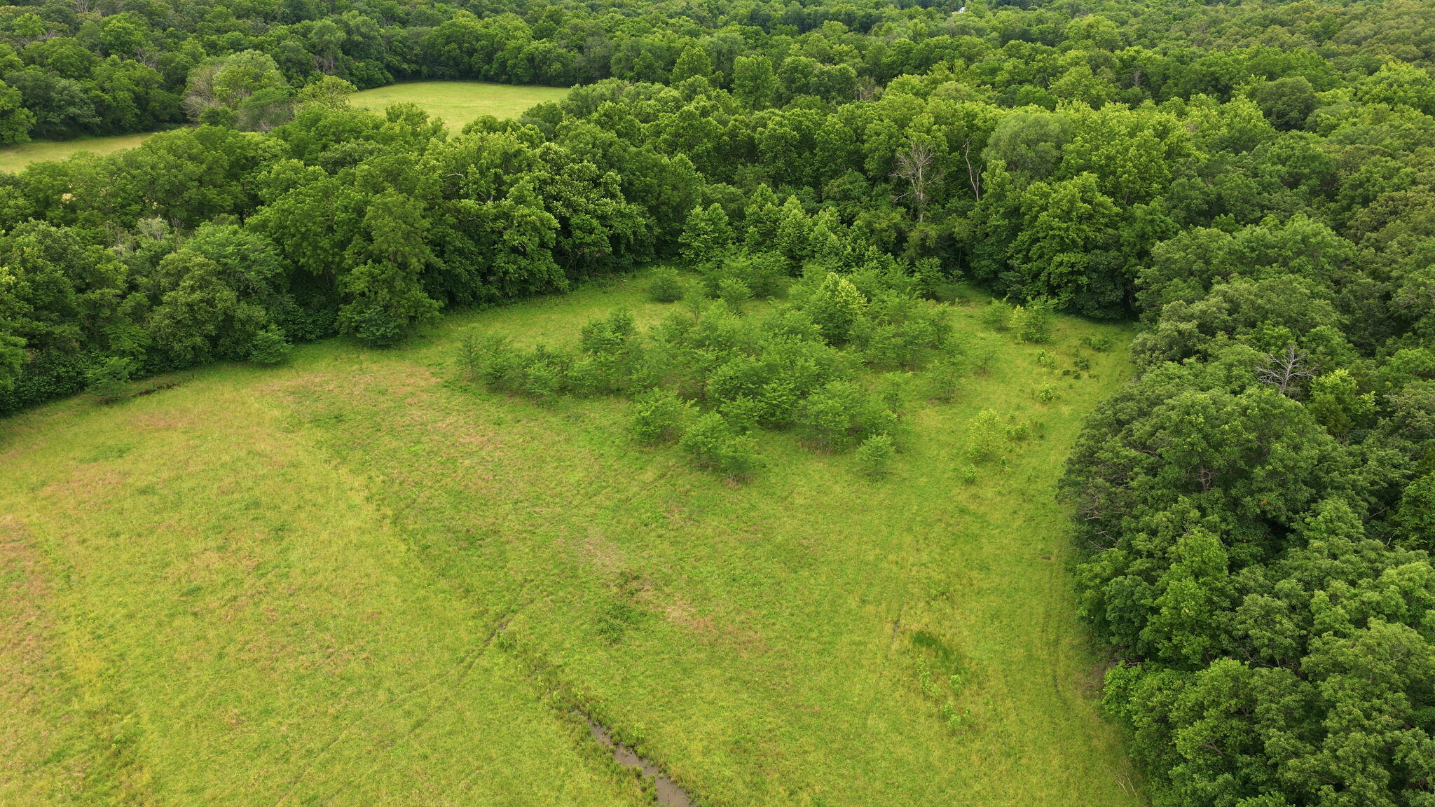 Photo 16 - Land for sale – 17445 E 418 Road  Stockton, MO