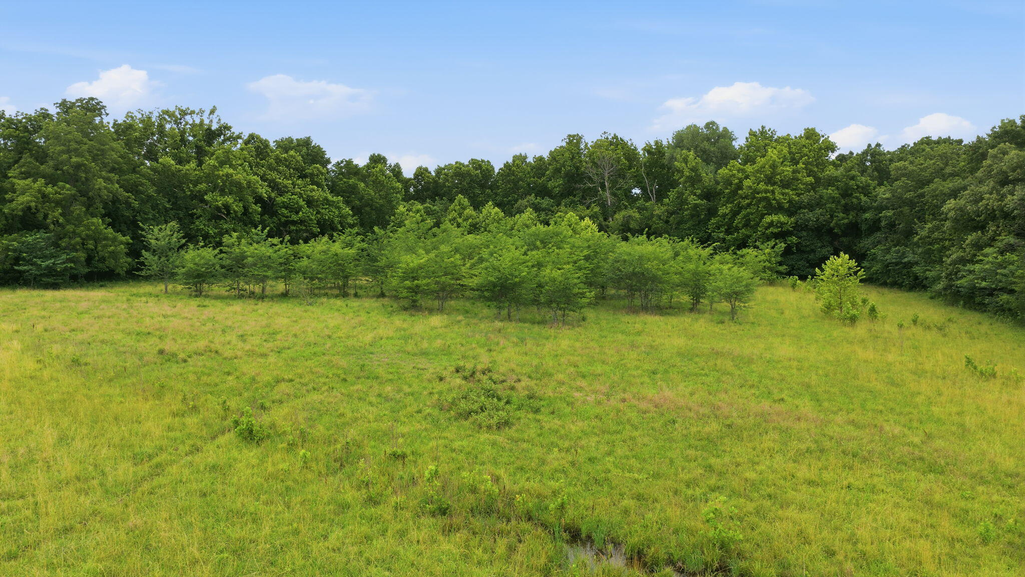 Photo 23 - Land for sale – 17445 E 418 Road  Stockton, MO