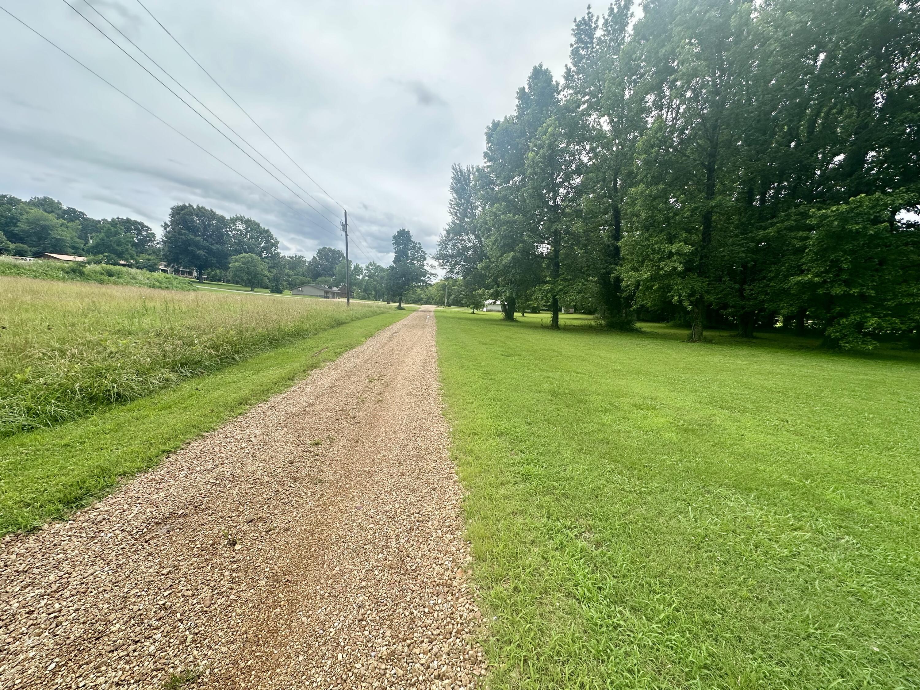 Photo 11 - Land for sale – 000 Lot 10  Vincent Street  Doniphan, MO