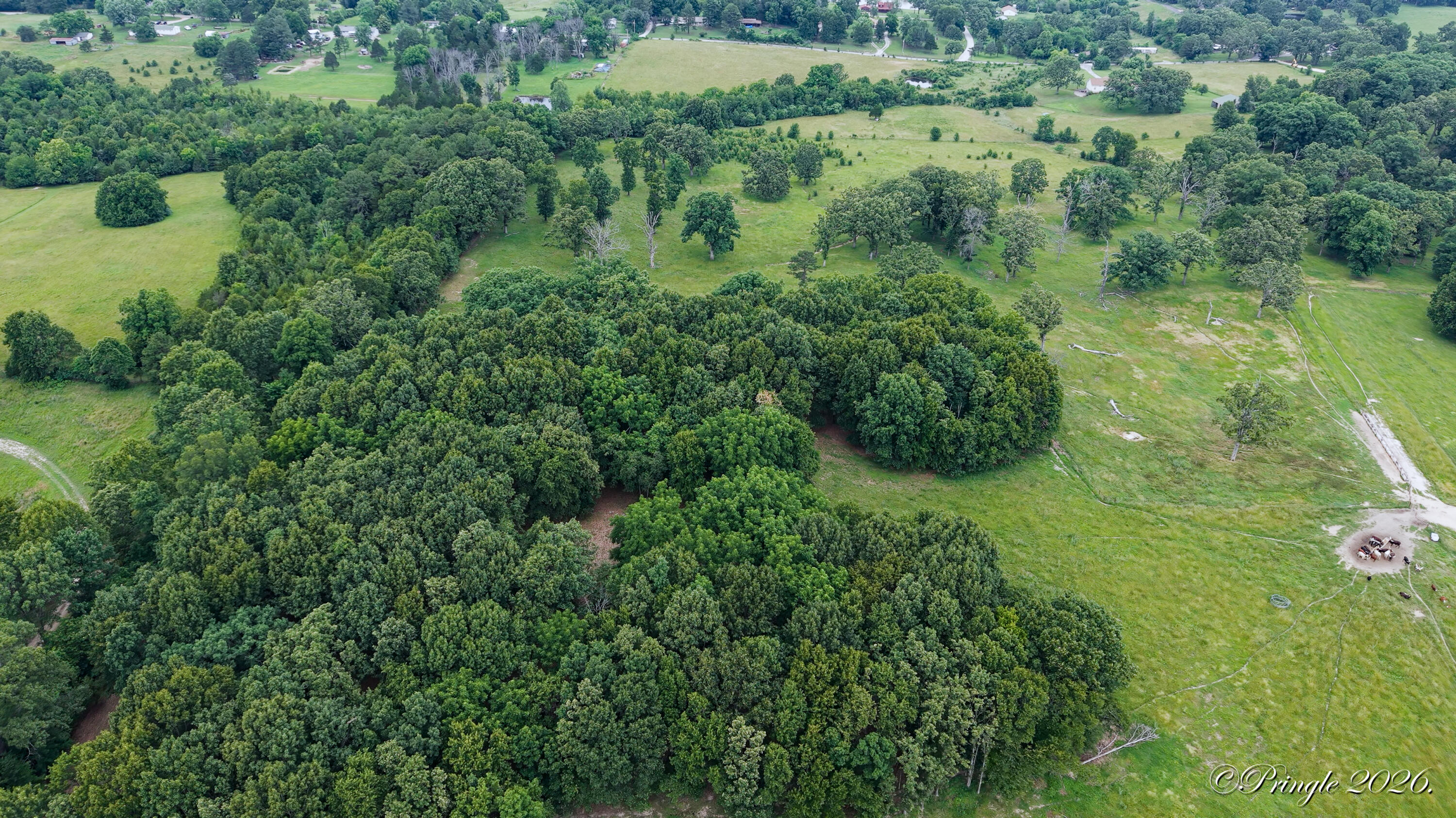 Photo 12 - Land for sale – 6504  County Road 8800   West Plains, MO