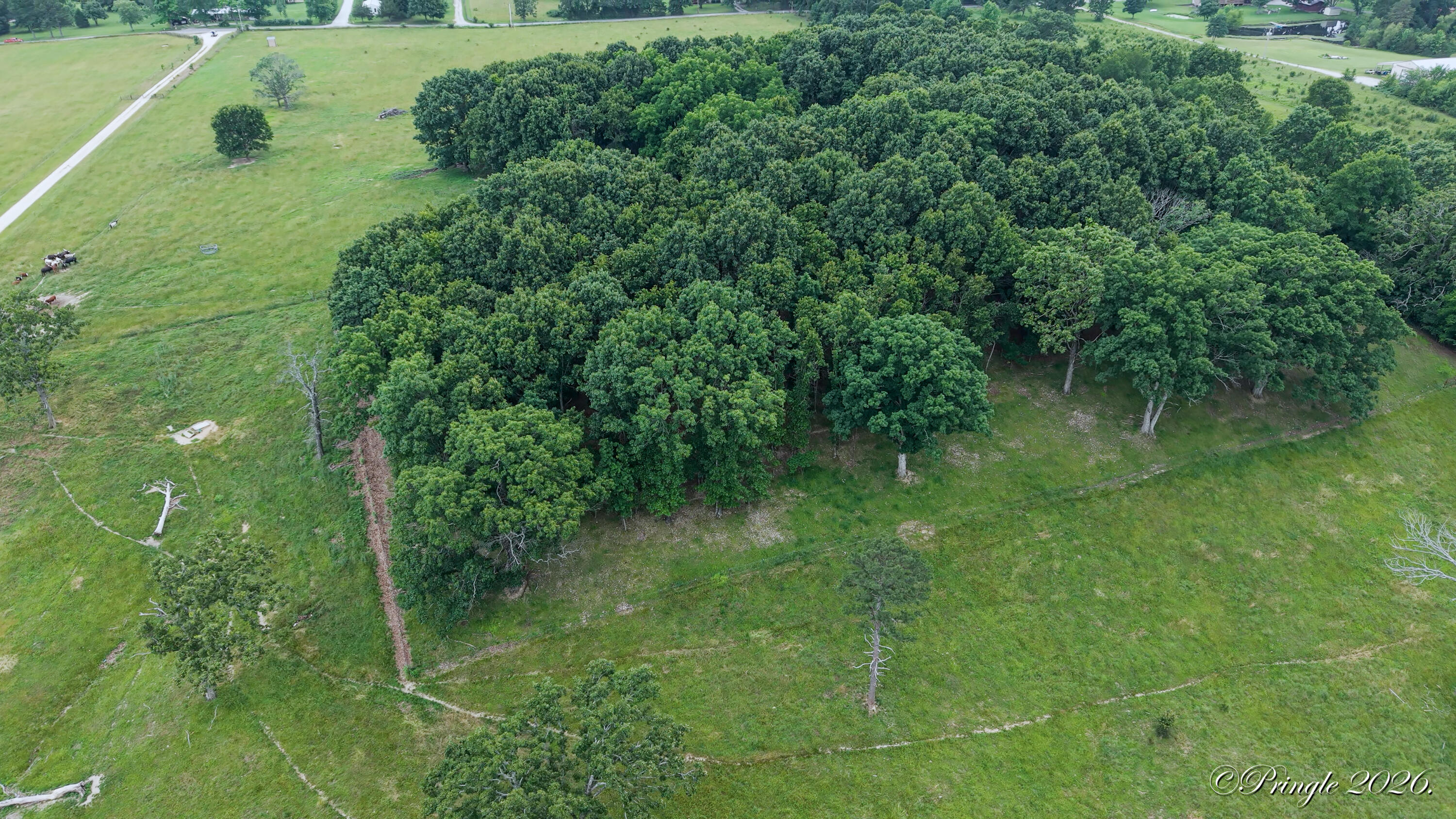 Photo 24 - Land for sale – 6504  County Road 8800   West Plains, MO