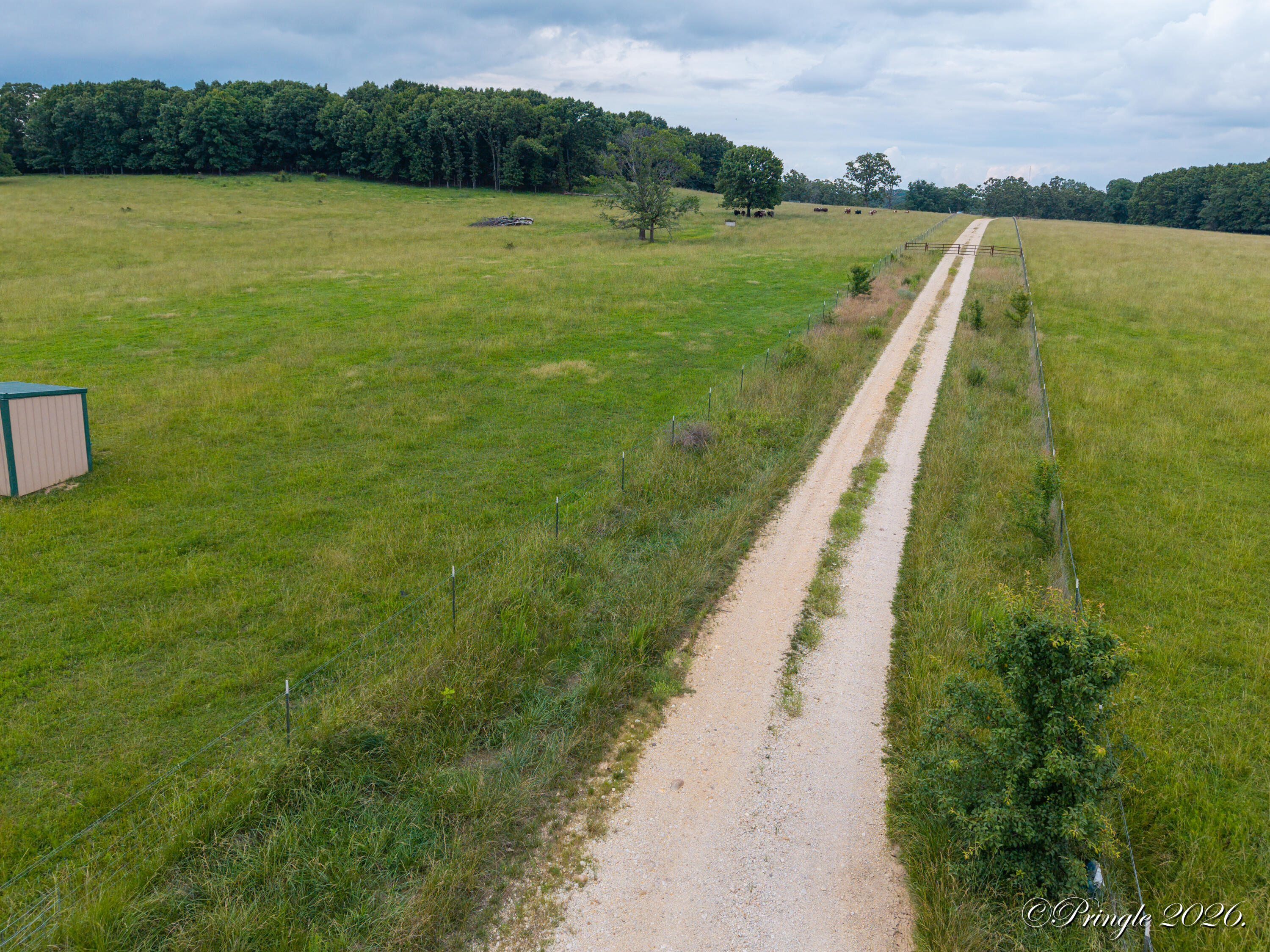 Photo 28 - Land for sale – 6504  County Road 8800   West Plains, MO