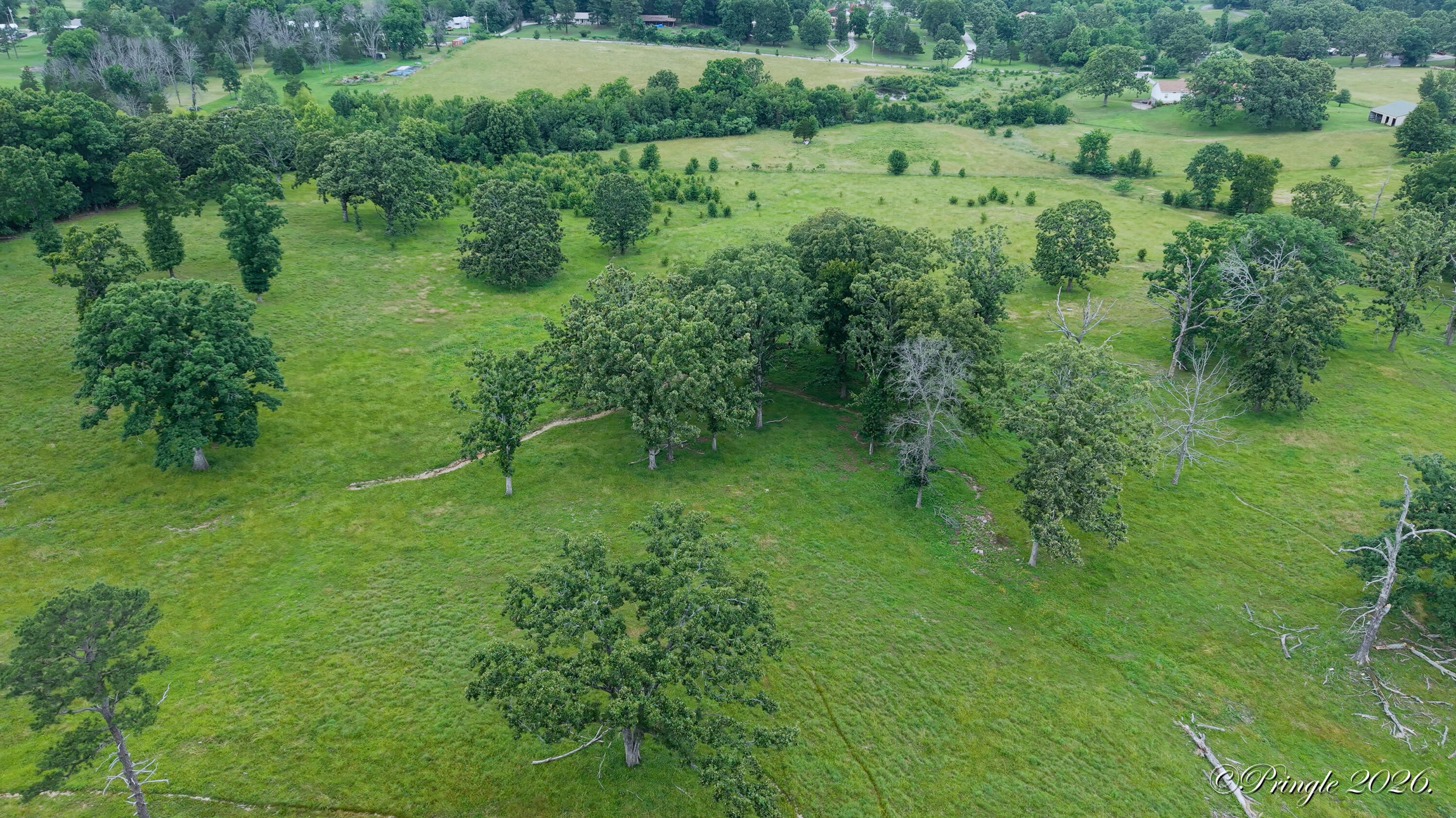 Photo 22 - Land for sale – 6504  County Road 8800   West Plains, MO