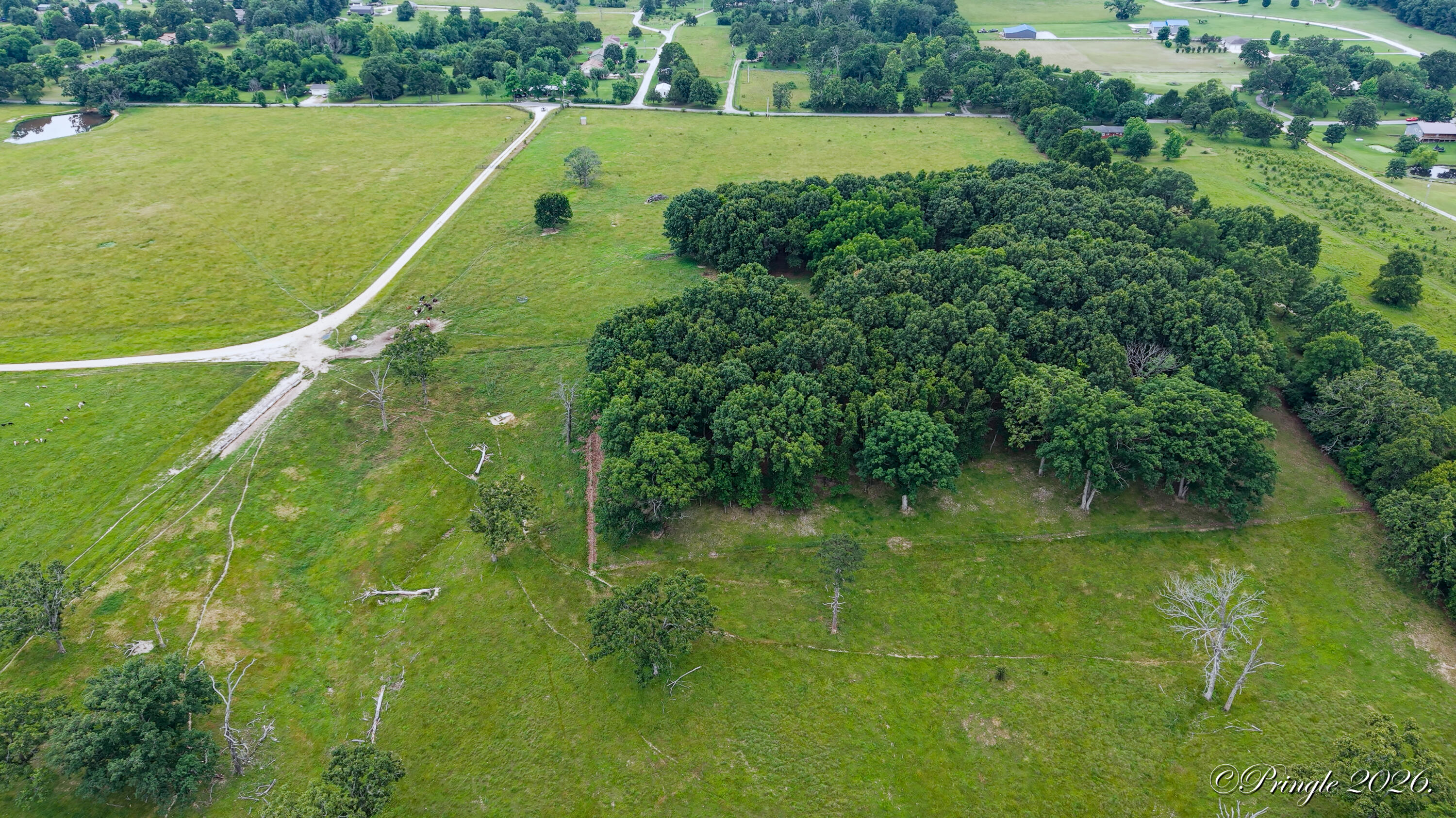 Photo 16 - Land for sale – 6504  County Road 8800   West Plains, MO