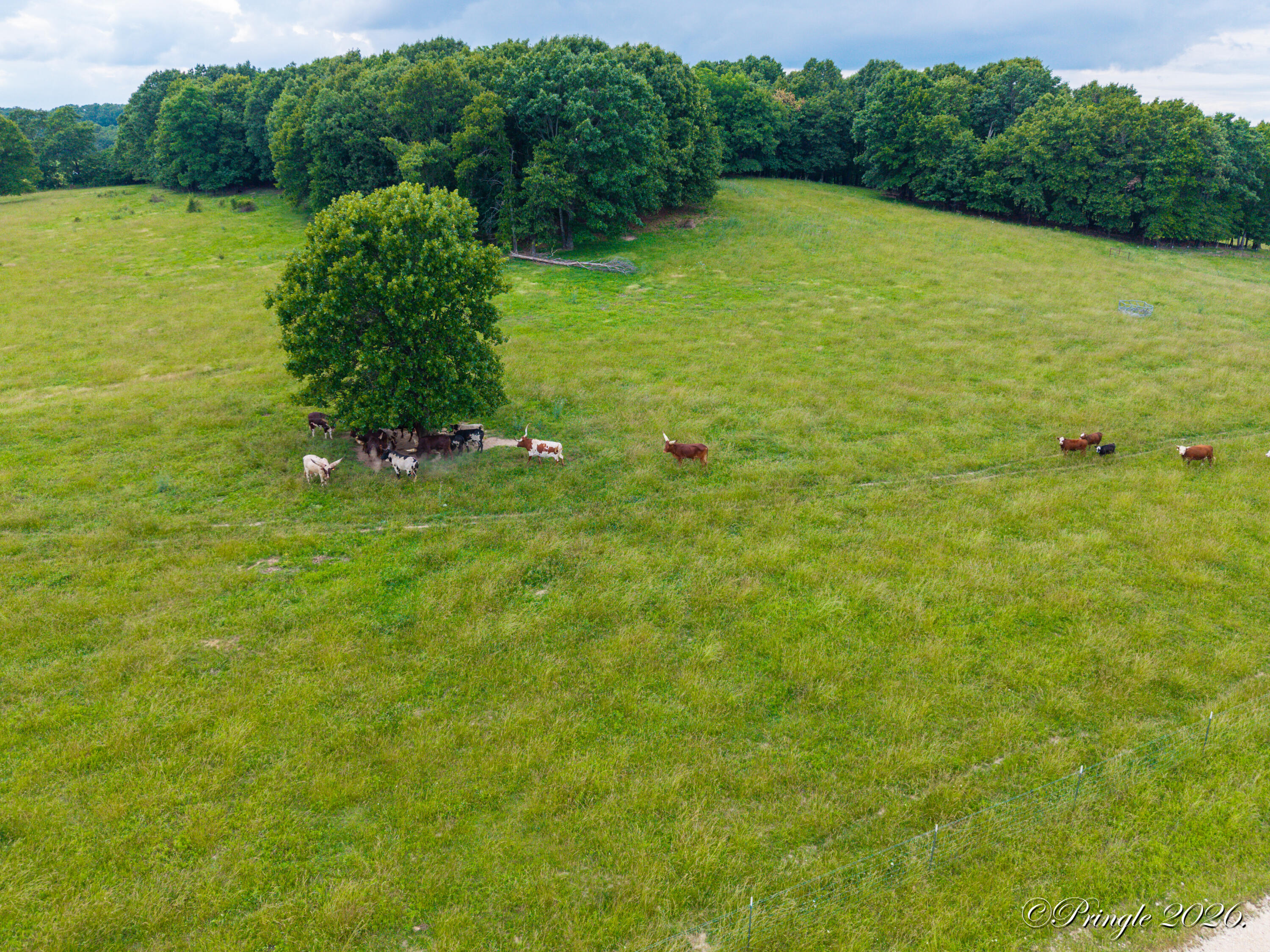 Photo 31 - Land for sale – 6504  County Road 8800   West Plains, MO