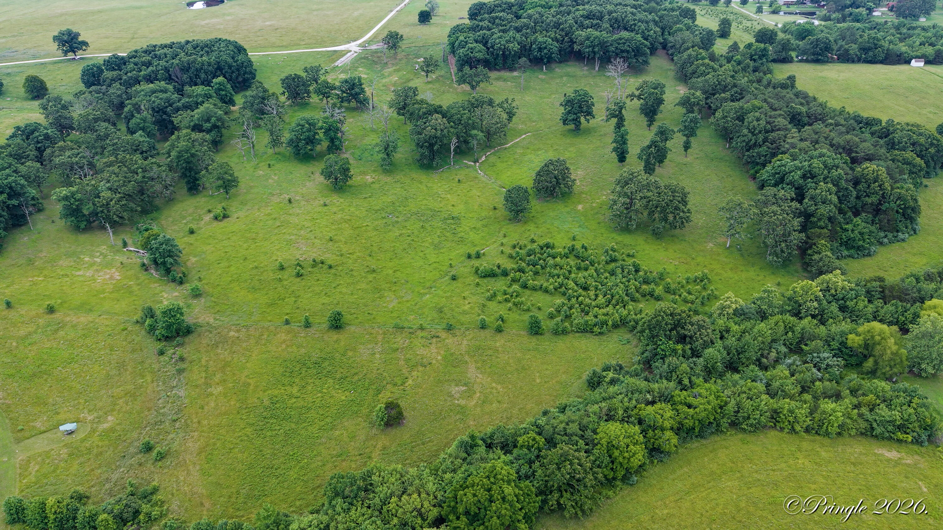 Photo 15 - Land for sale – 6504  County Road 8800   West Plains, MO