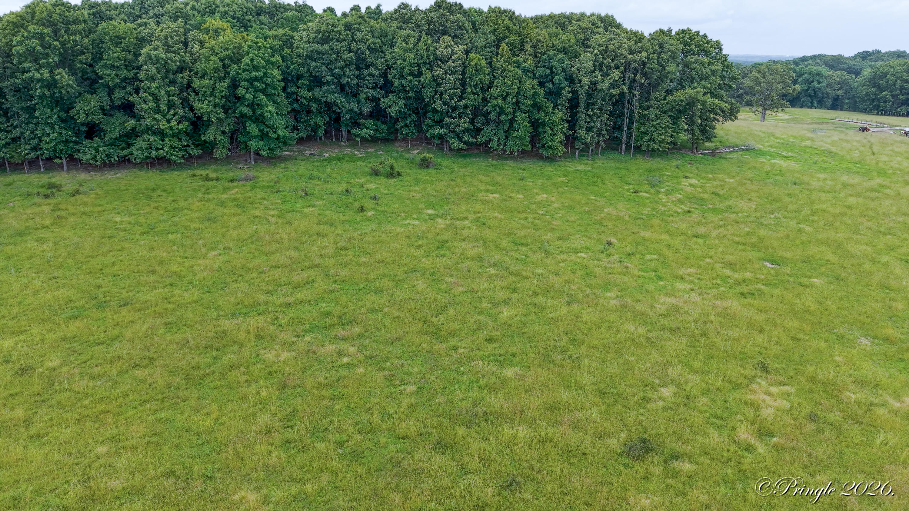 Photo 25 - Land for sale – 6504  County Road 8800   West Plains, MO