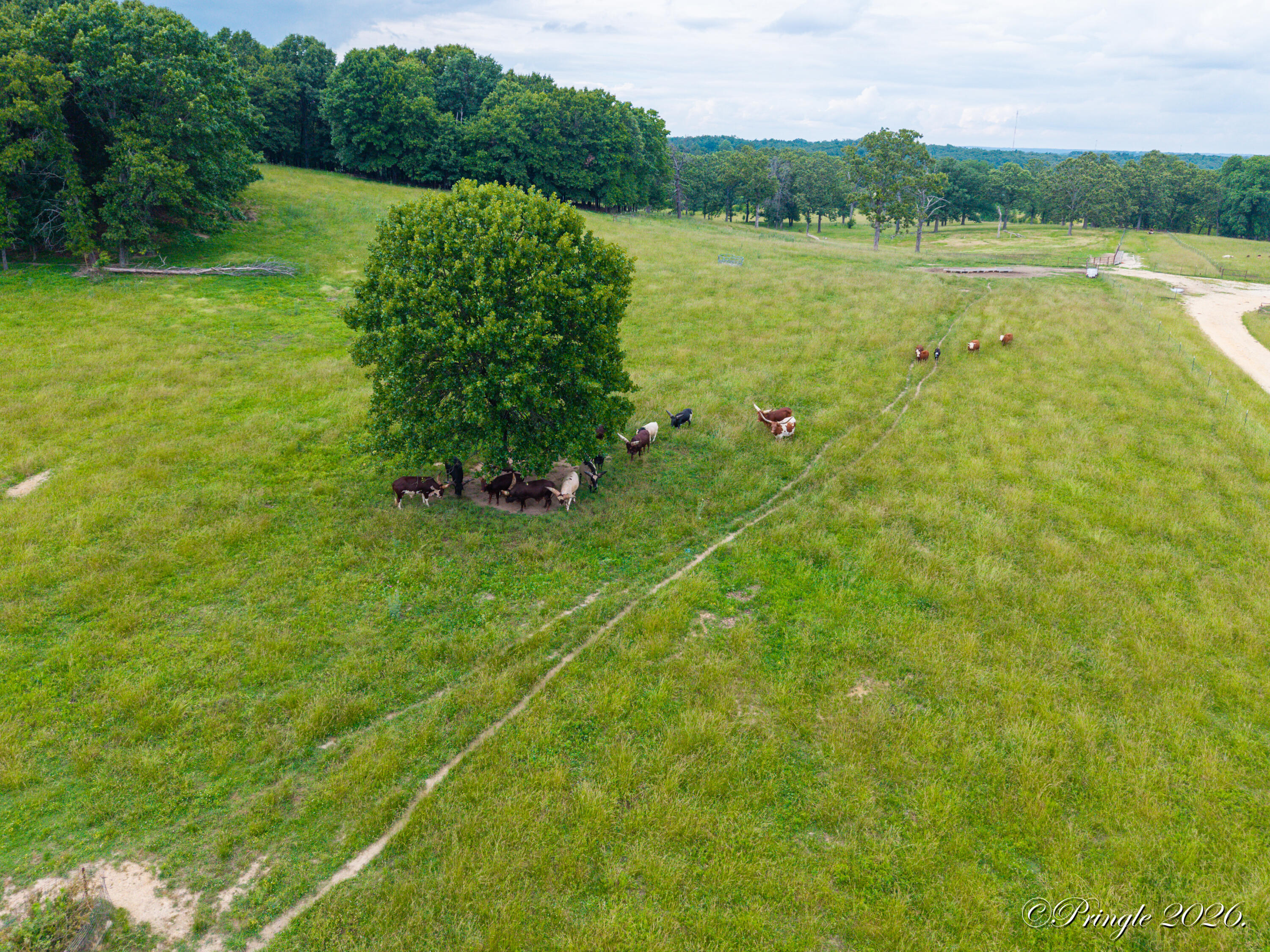 Photo 29 - Land for sale – 6504  County Road 8800   West Plains, MO