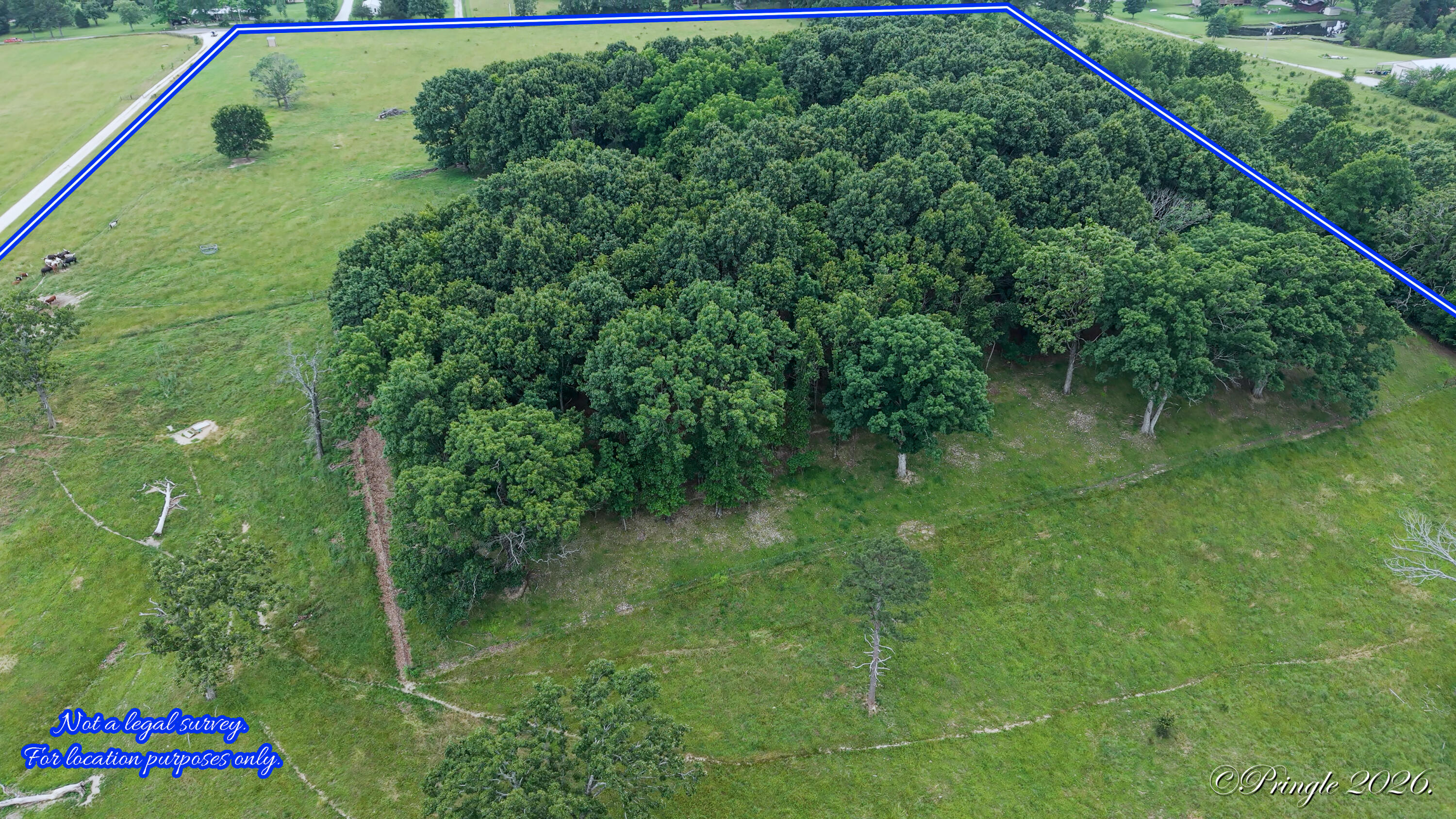 Photo 8 - Land for sale – 6504  County Road 8800   West Plains, MO