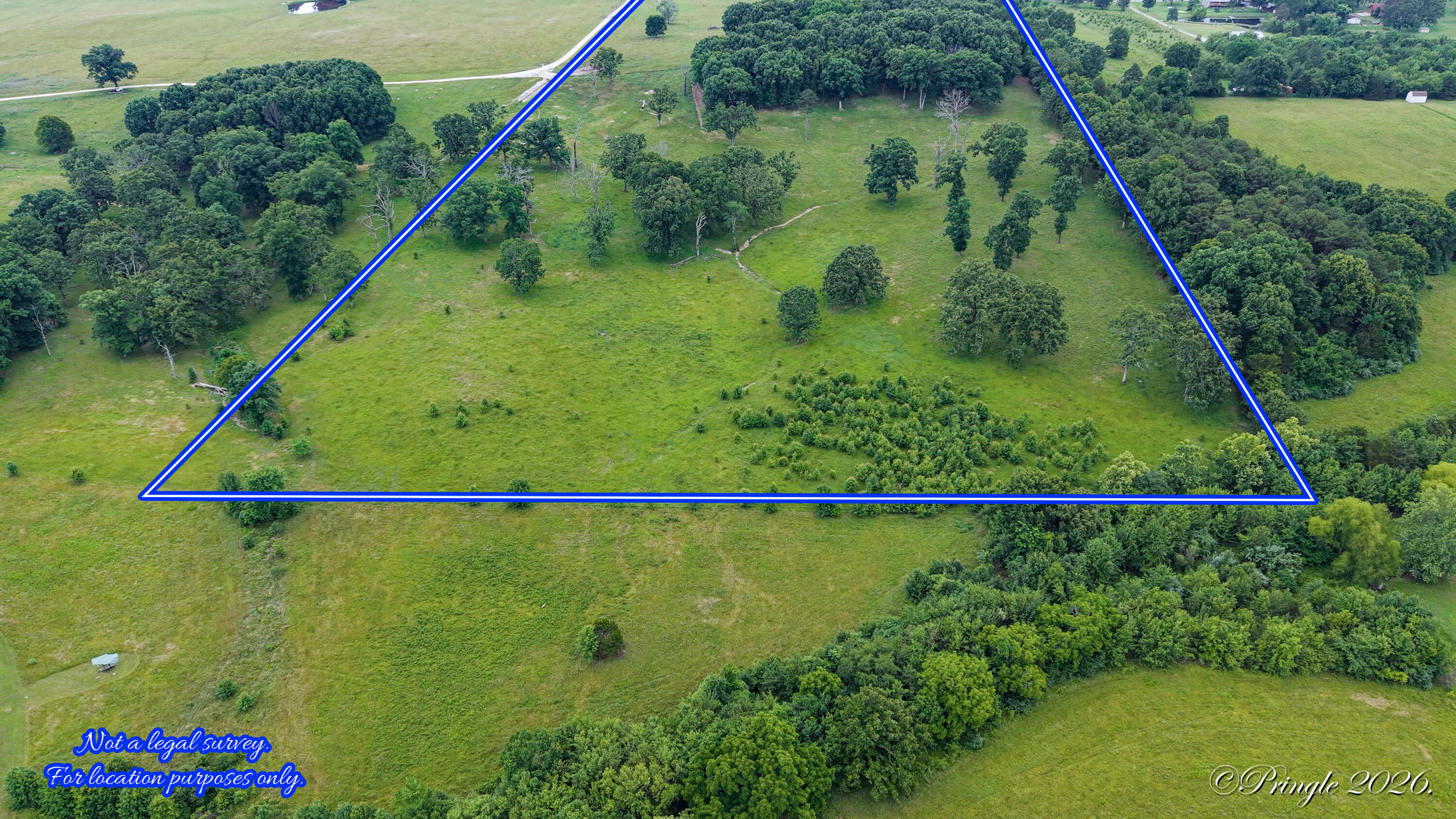 Photo 5 - Land for sale – 6504  County Road 8800   West Plains, MO