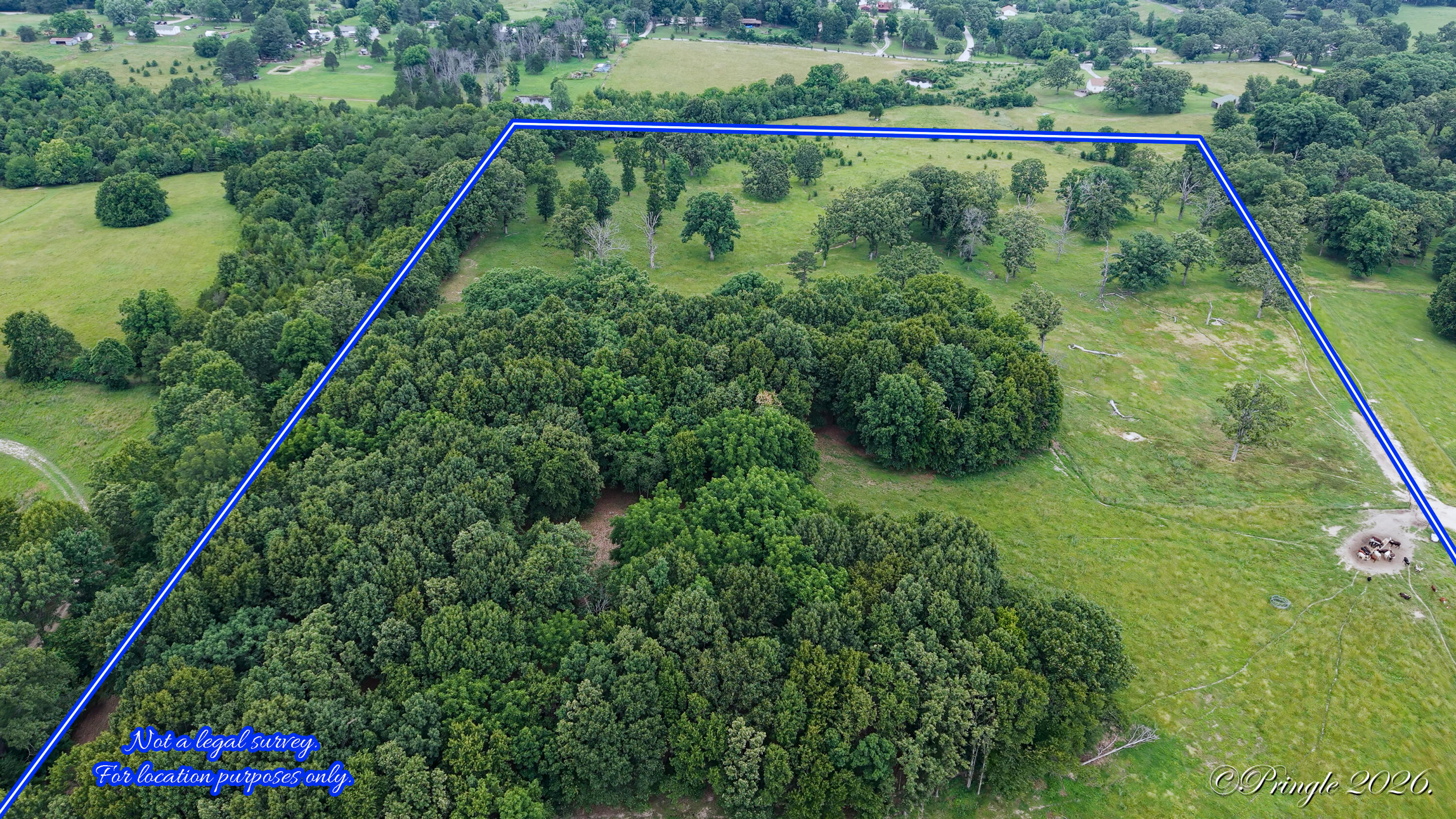 Photo 2 - Land for sale – 6504  County Road 8800   West Plains, MO