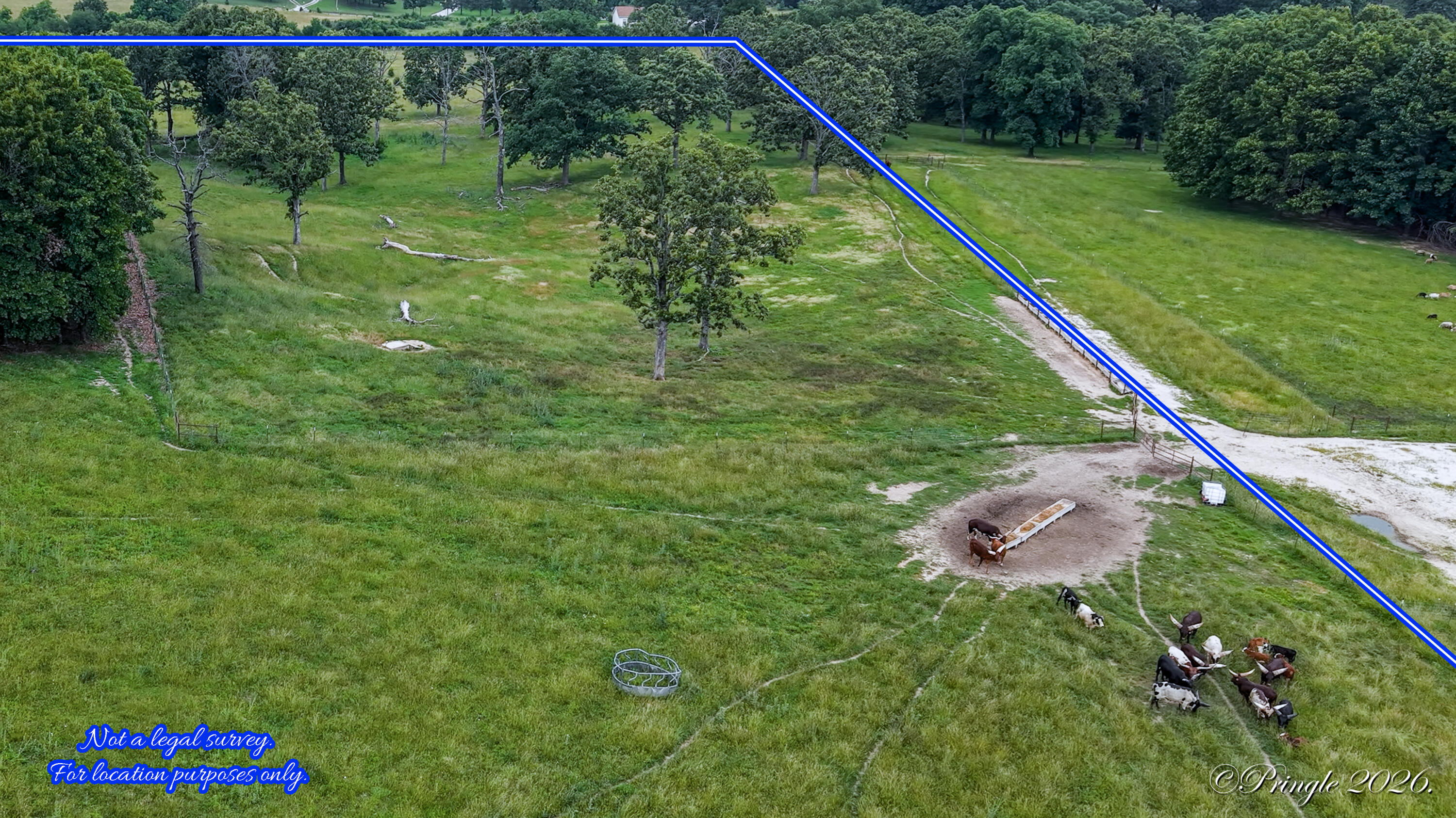 Photo 10 - Land for sale – 6504  County Road 8800   West Plains, MO