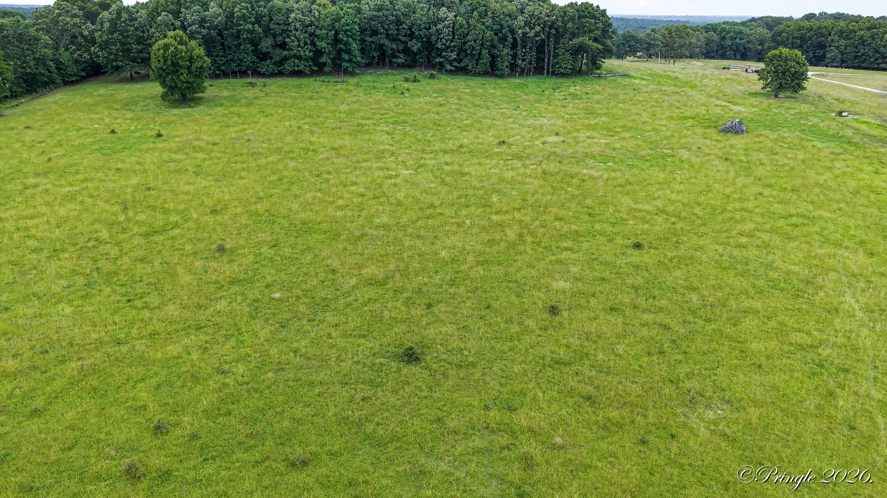 Photo 20 - Land for sale – 6504  County Road 8800   West Plains, MO