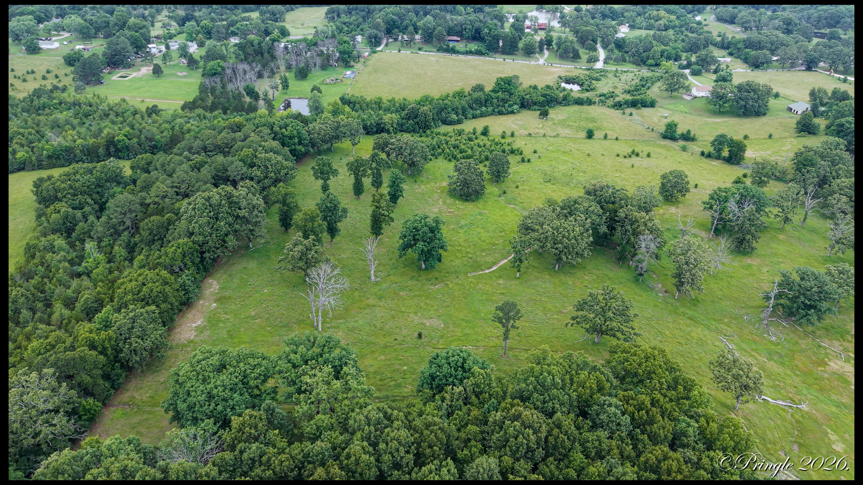 Photo 13 - Land for sale – 6504  County Road 8800   West Plains, MO