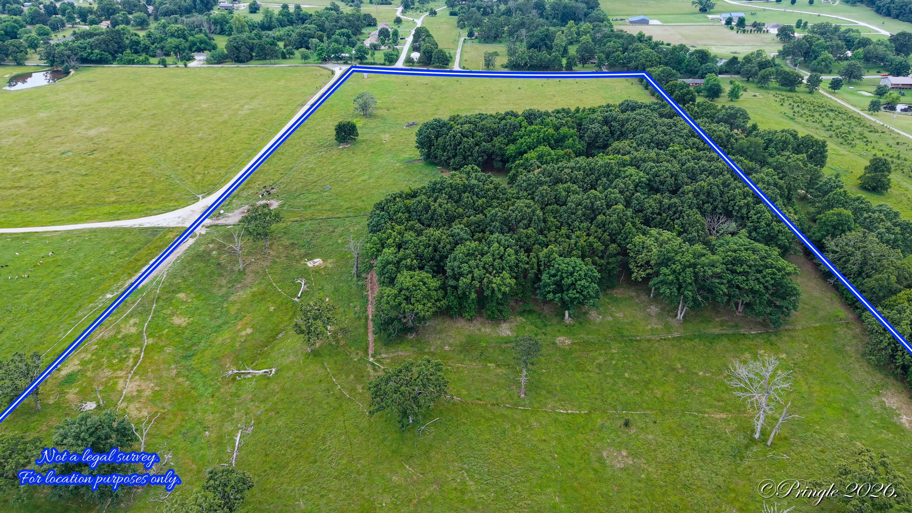 Photo 6 - Land for sale – 6504  County Road 8800   West Plains, MO