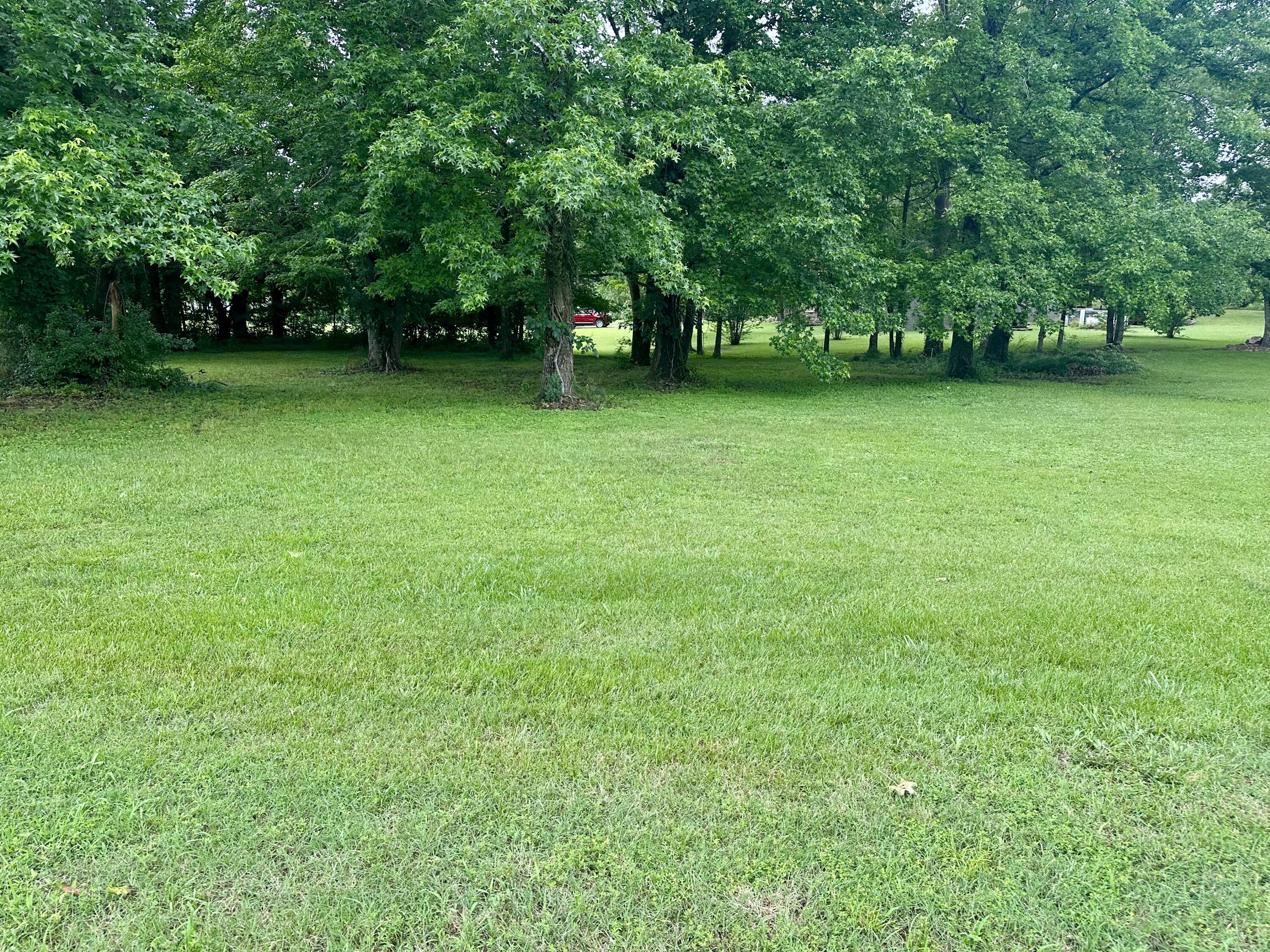 Photo 5 - Land for sale – 000  Vincent Lot 11   Doniphan, MO