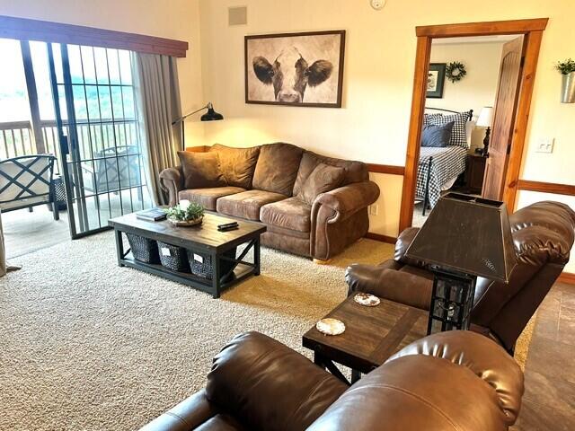 Photo 14 - Residential for sale – 24  Village Trail  Branson, MO