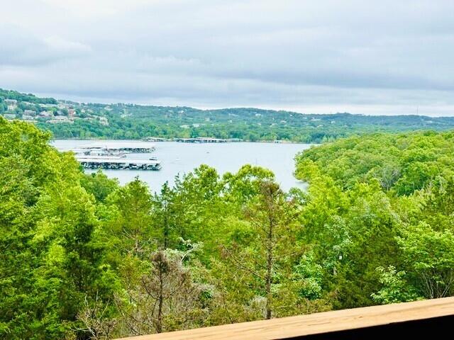 Photo 59 - Residential for sale – 24  Village Trail  Branson, MO