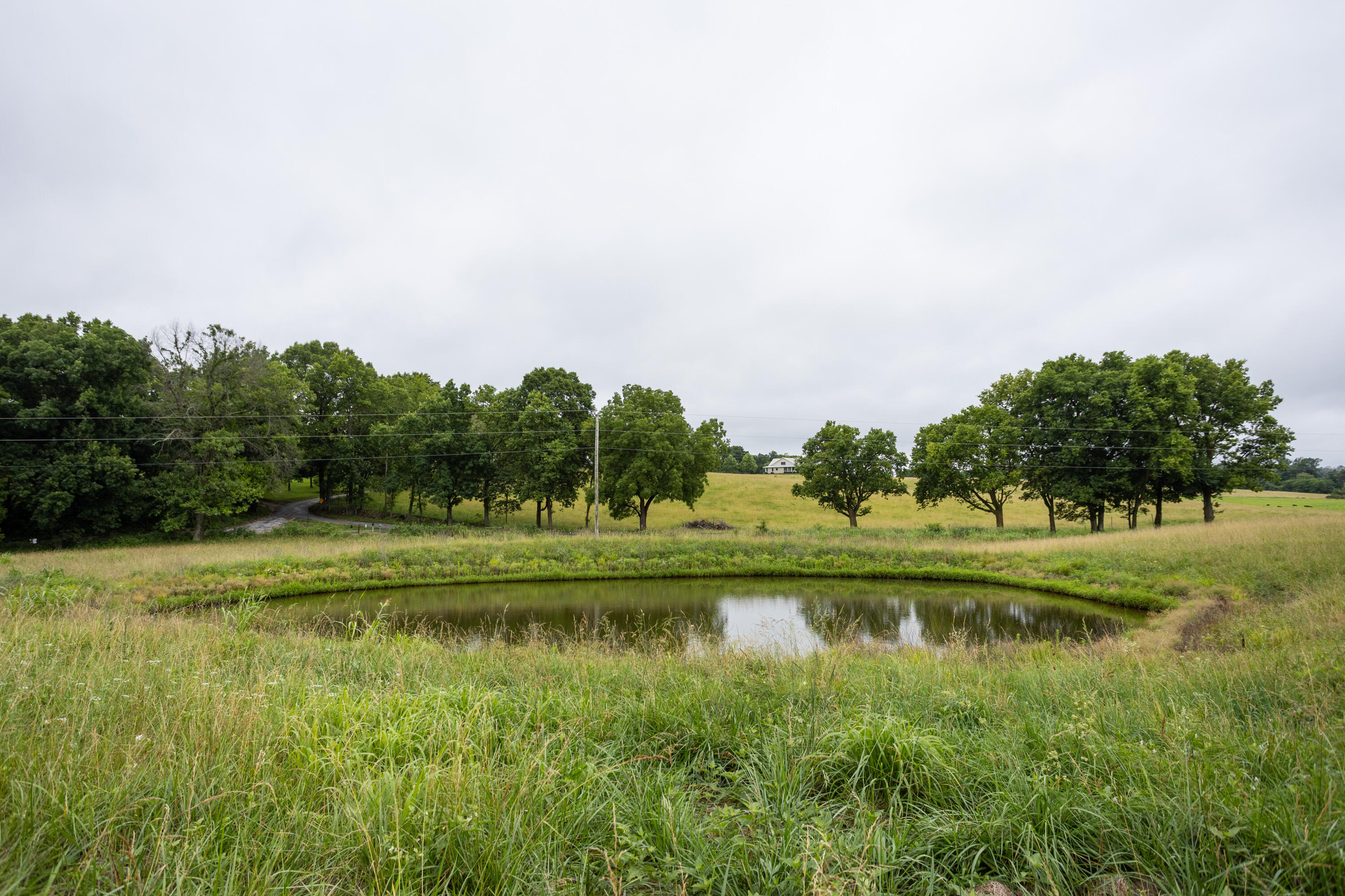 Photo 13 - Land for sale – Tract 3  Fraizer Road  Clever, MO