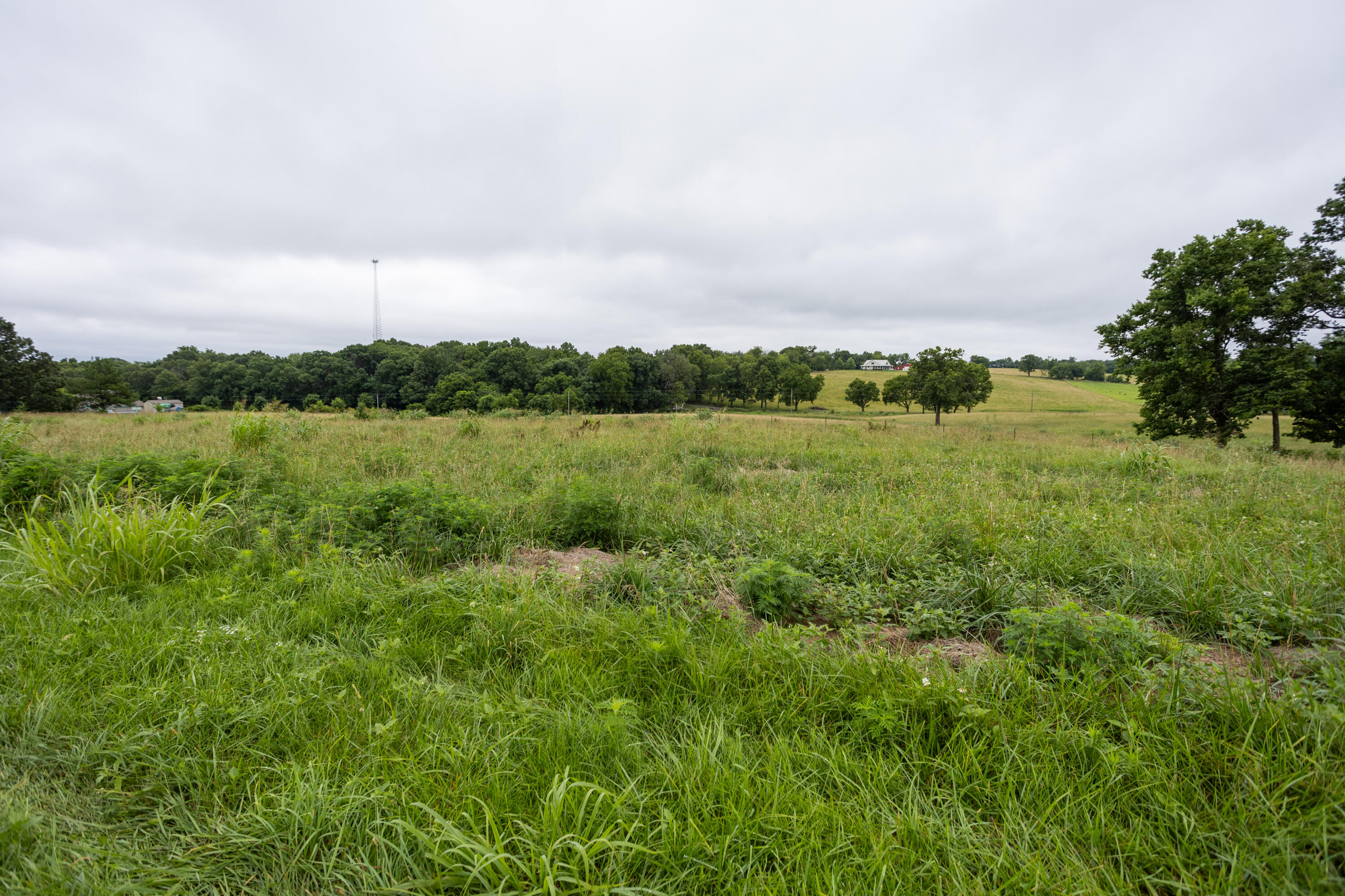 Photo 11 - Land for sale – Tract 3  Fraizer Road  Clever, MO