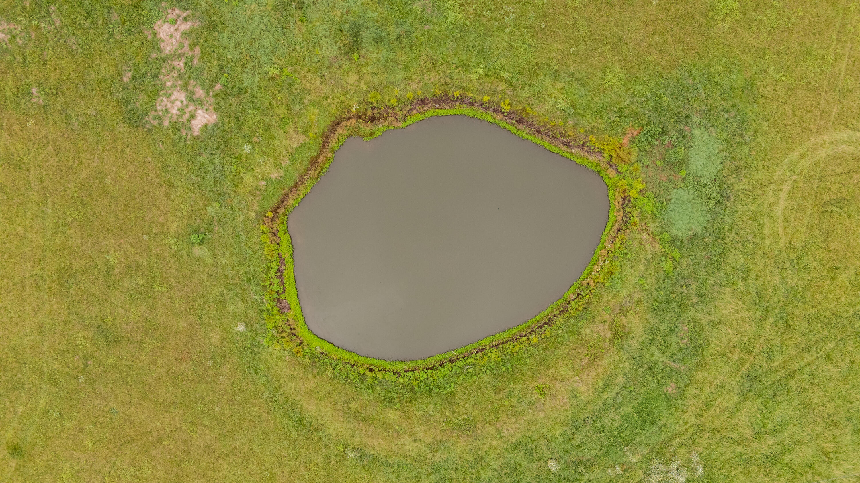 Photo 20 - Land for sale – Tract 3  Fraizer Road  Clever, MO