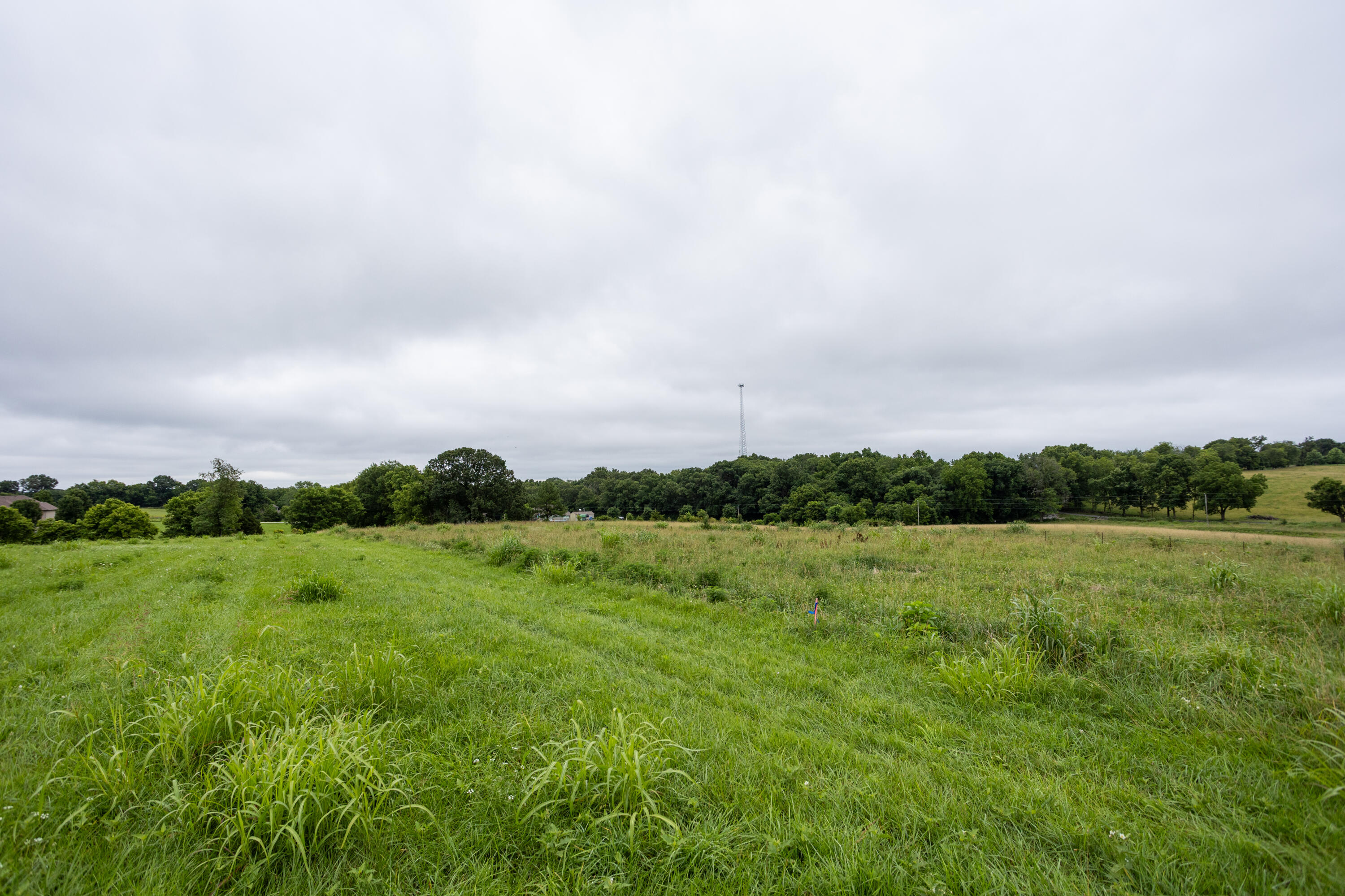 Photo 22 - Land for sale – Tract 3  Fraizer Road  Clever, MO
