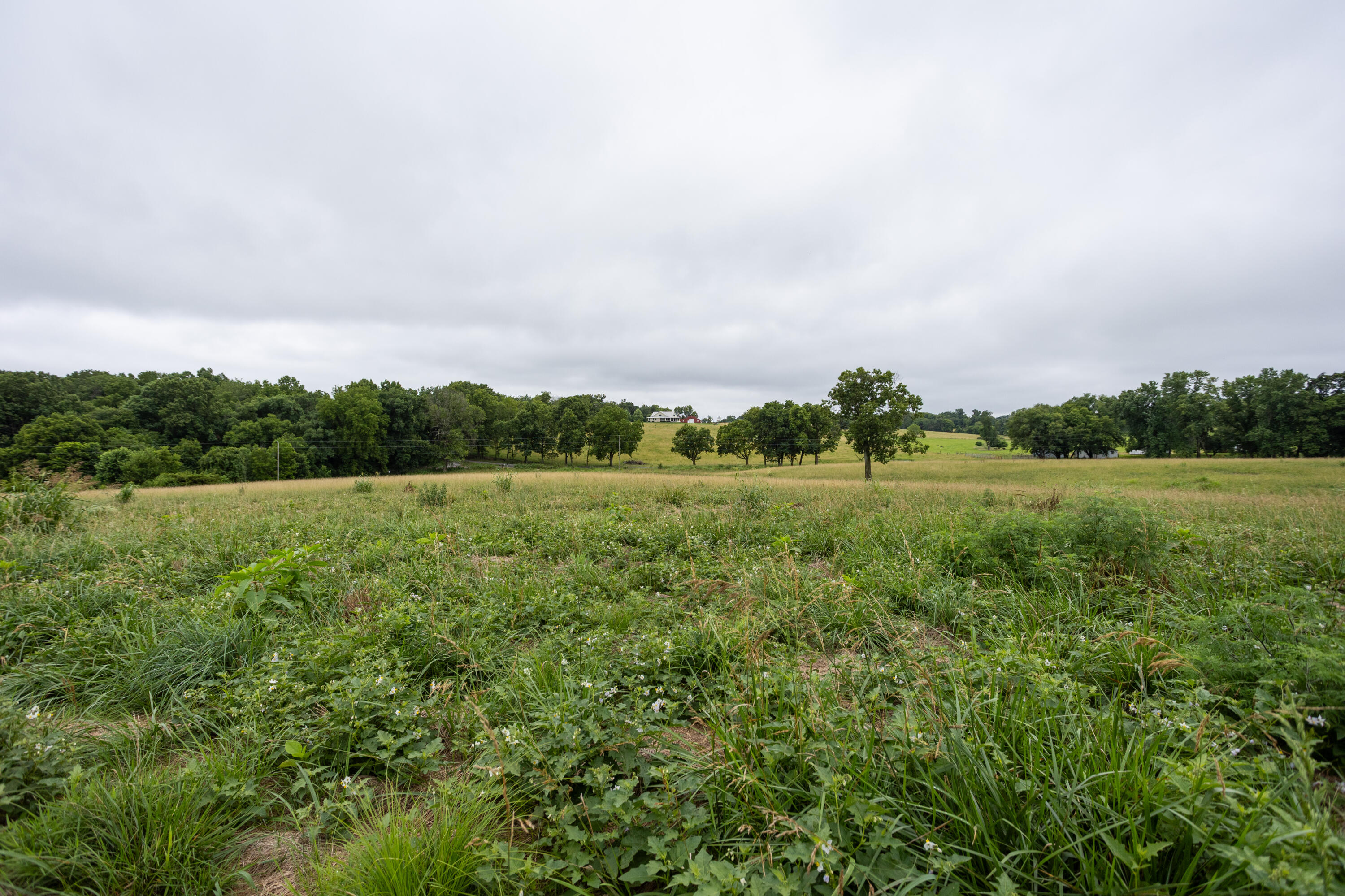 Photo 12 - Land for sale – Tract 3  Fraizer Road  Clever, MO