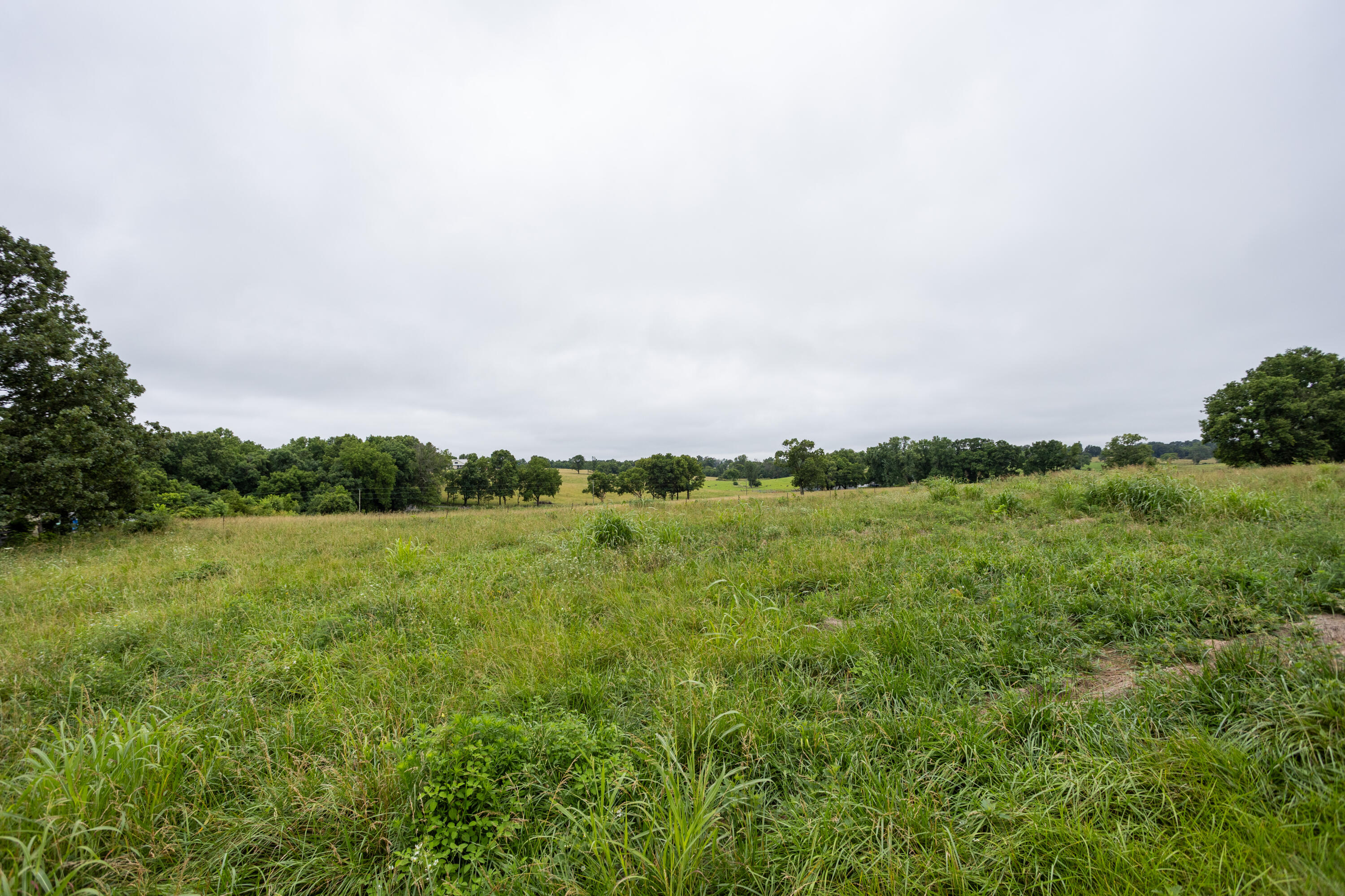 Photo 10 - Land for sale – Tract 3  Fraizer Road  Clever, MO