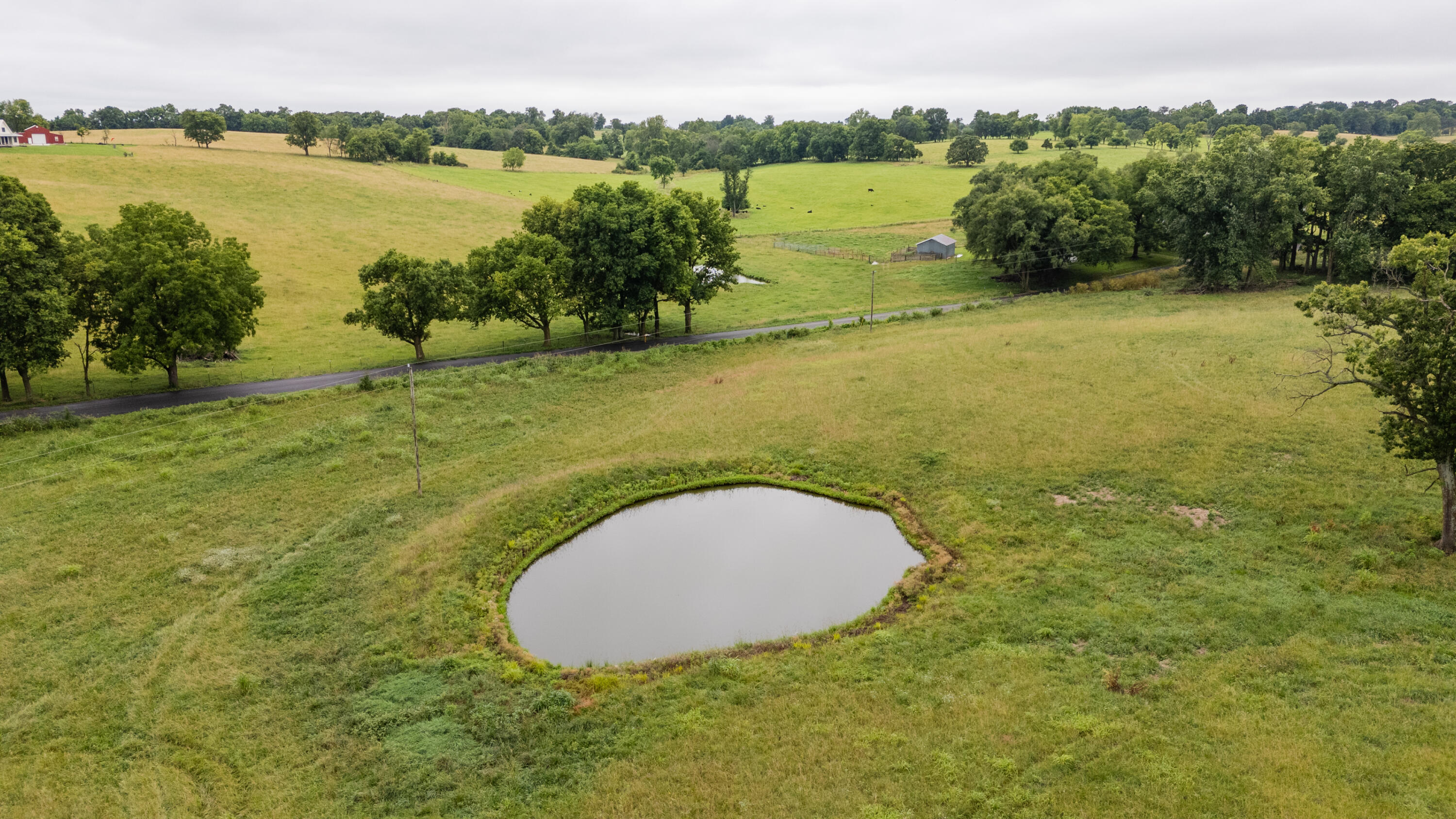 Photo 8 - Land for sale – Tract 3  Fraizer Road  Clever, MO